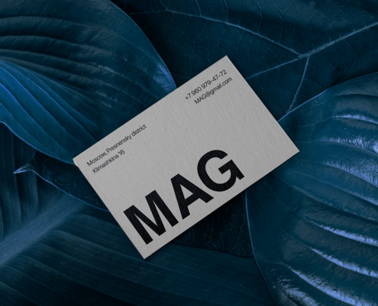 Luxury Real Estate Agency MAG — Интерфейсы, Графика на Dprofile