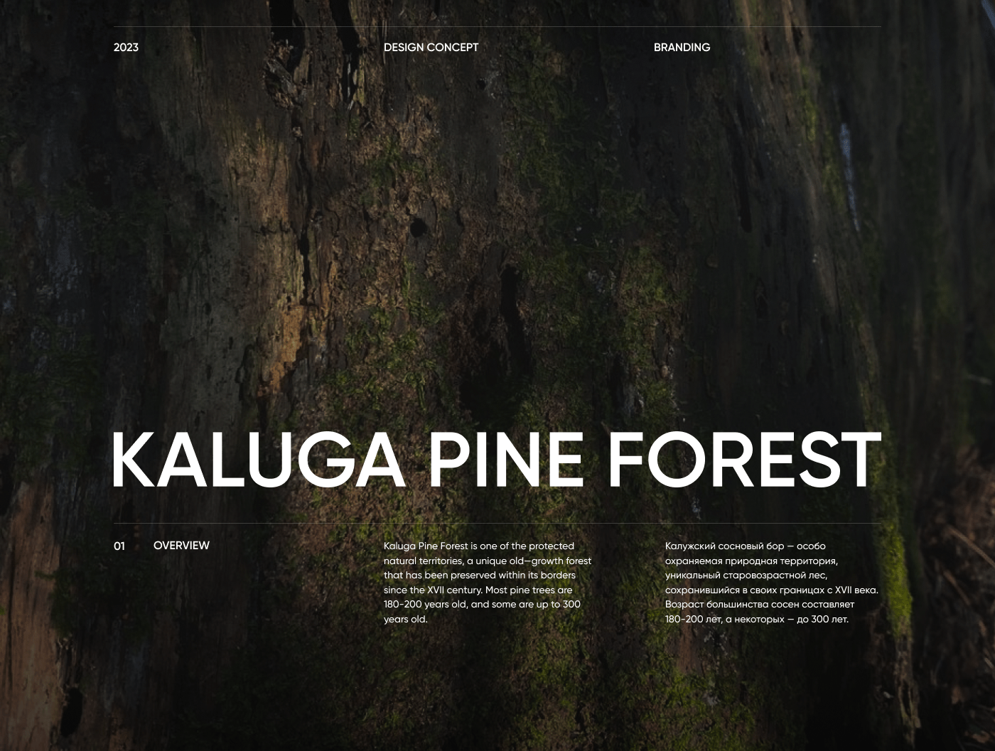 Kaluga Pine Forest — Изображение №1 — Брендинг, Графика на Dprofile
