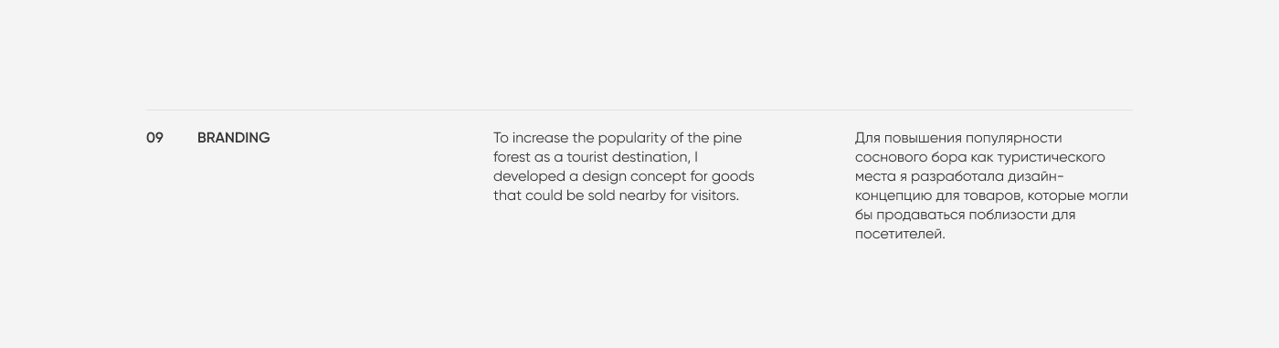 Kaluga Pine Forest — Изображение №14 — Брендинг, Графика на Dprofile