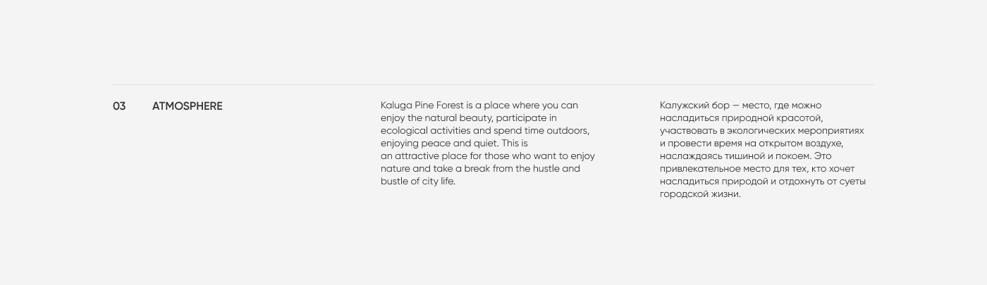 Kaluga Pine Forest — Изображение №4 — Брендинг, Графика на Dprofile