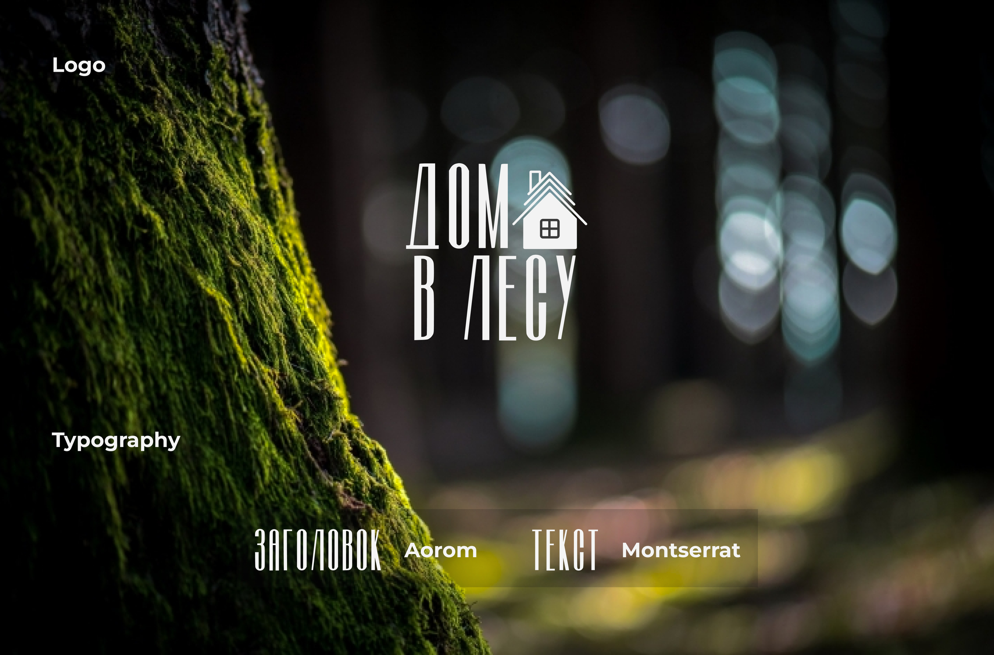 Landing page concept / A-Frame cottage — Изображение №2 — Интерфейсы на Dprofile