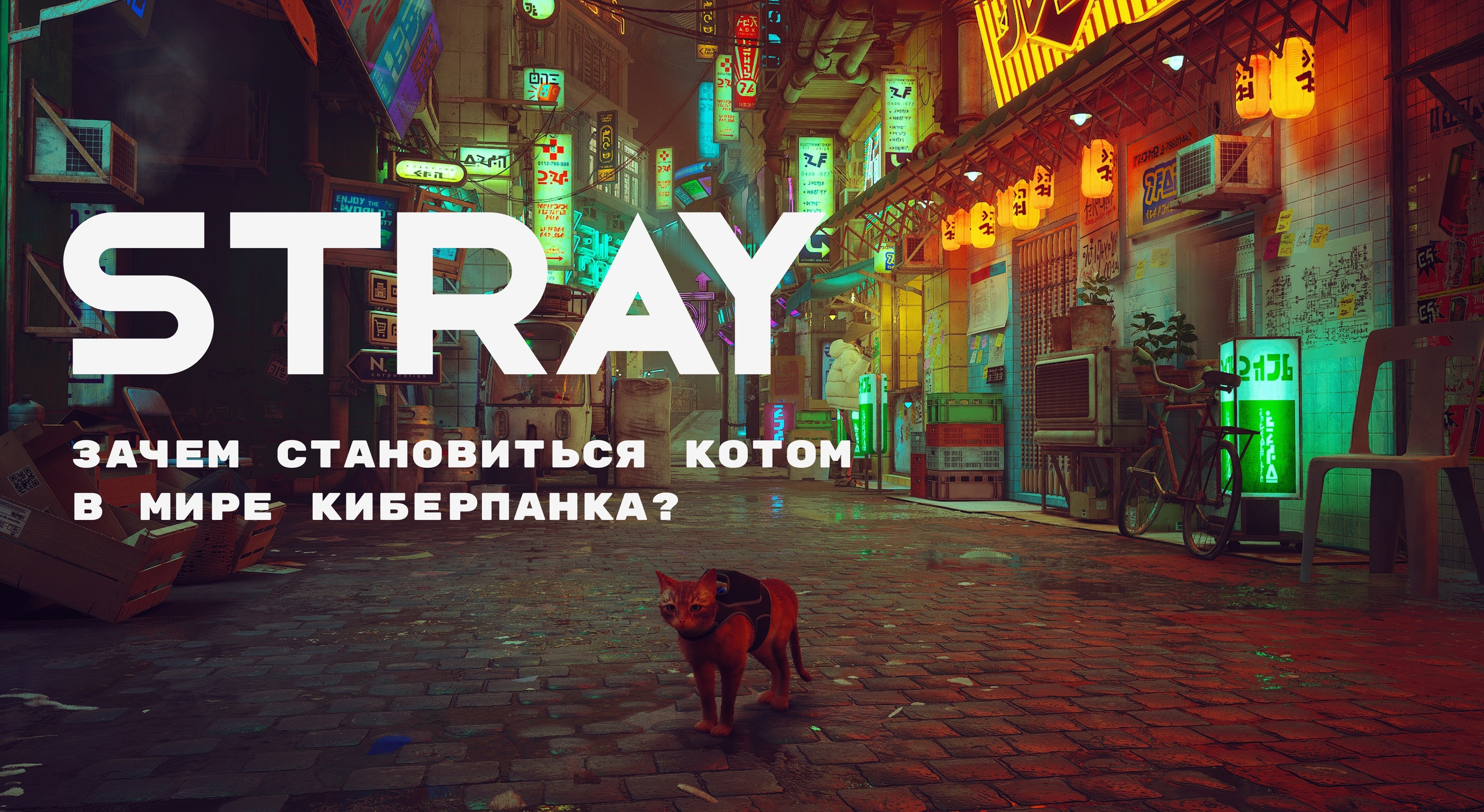 STRAY game/Longread Concept — Изображение №1 — Интерфейсы на Dprofile