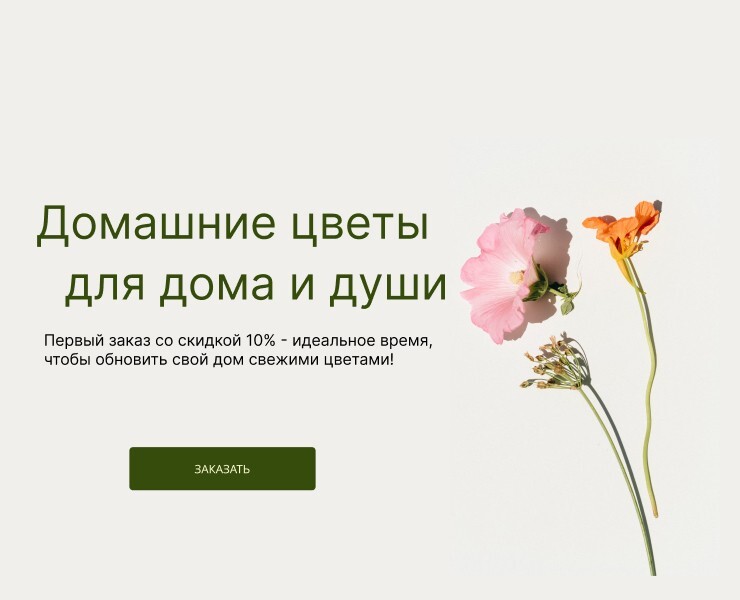 Интернет магазин комнатных цветов на Dprofile