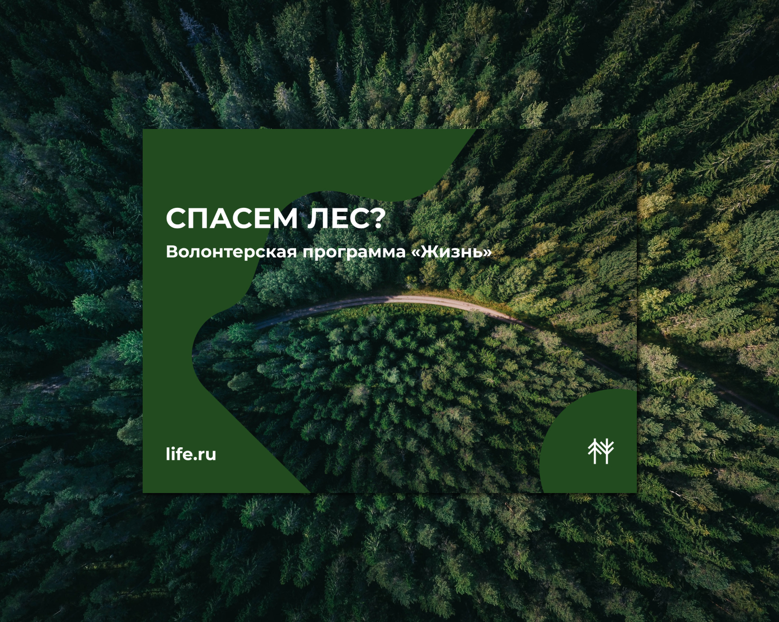 Баннер-реклама волонтерской организации Жизнь — Изображение №2 — Графика на Dprofile