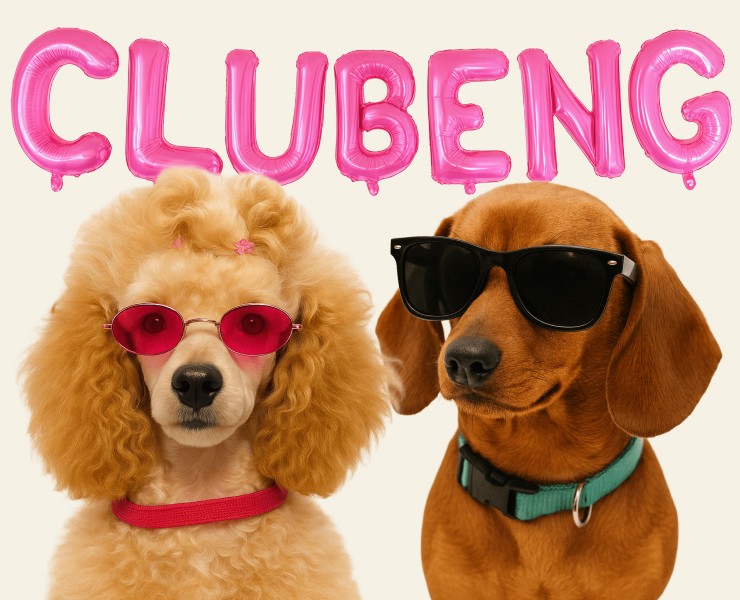 CLUBENG | Website for english lover club на Dprofile