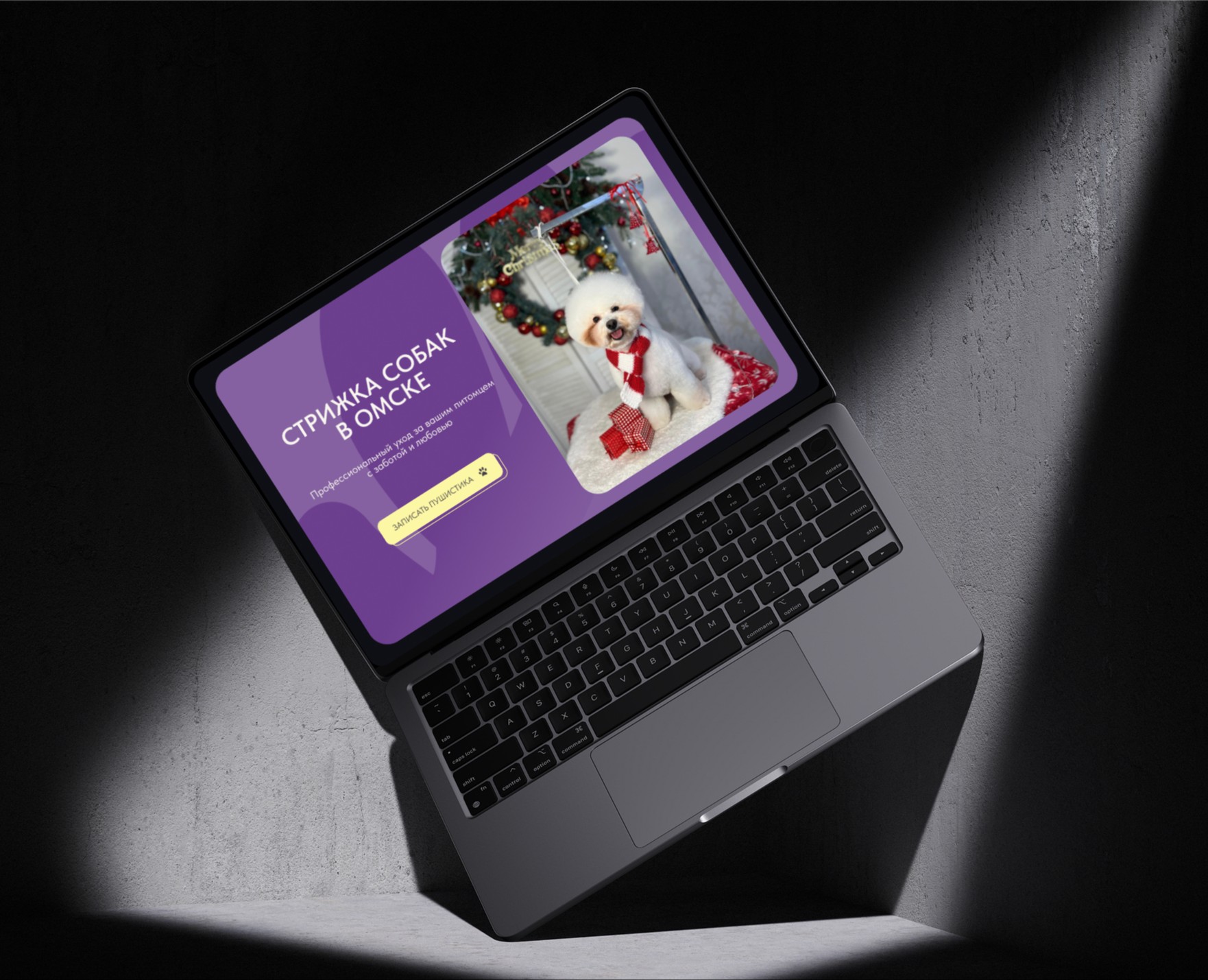 DobroGroom | Лендинг для грумера на Dprofile