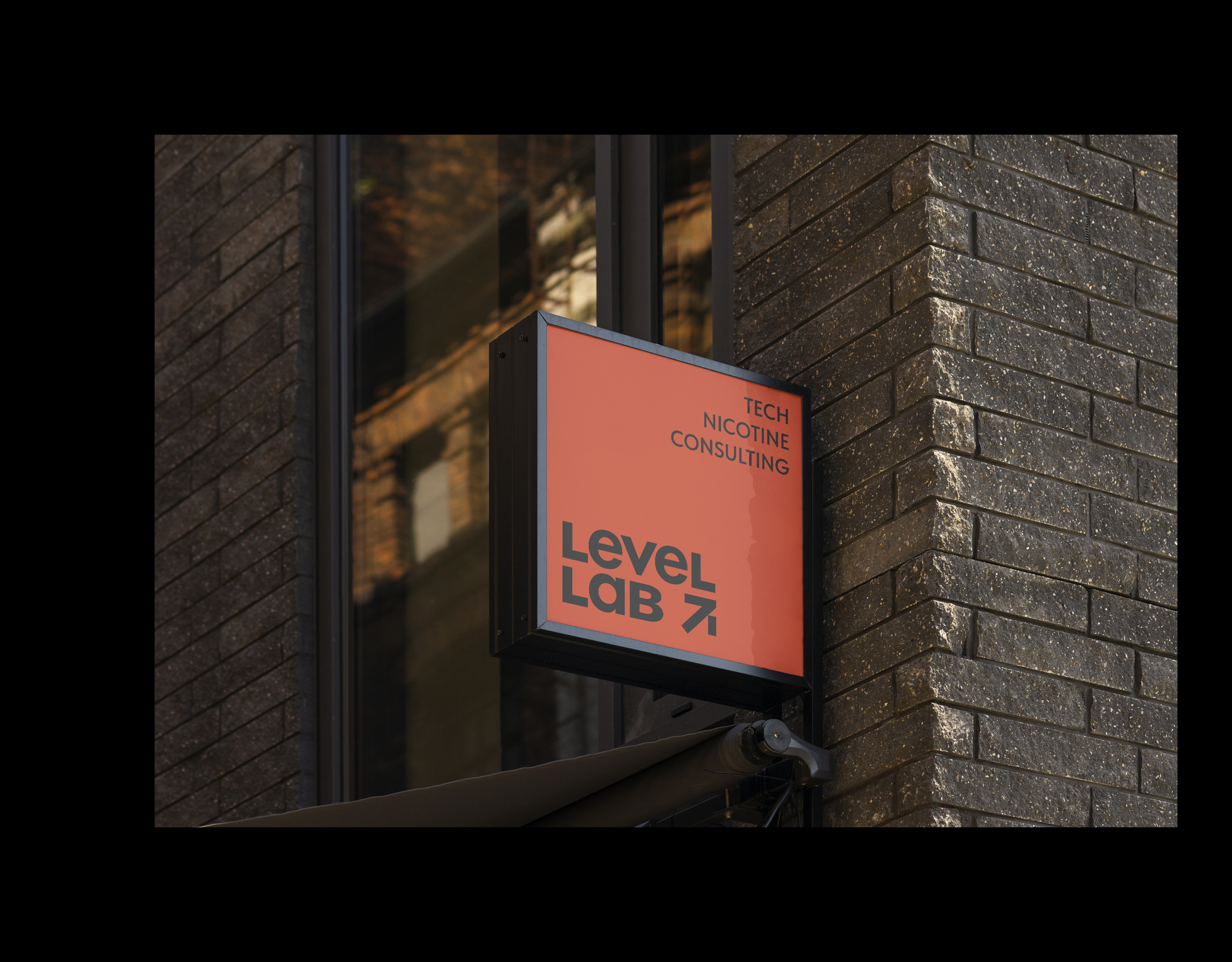 Level lab. Никотиновый консалтинг — Изображение №11 — Брендинг, Графика на Dprofile