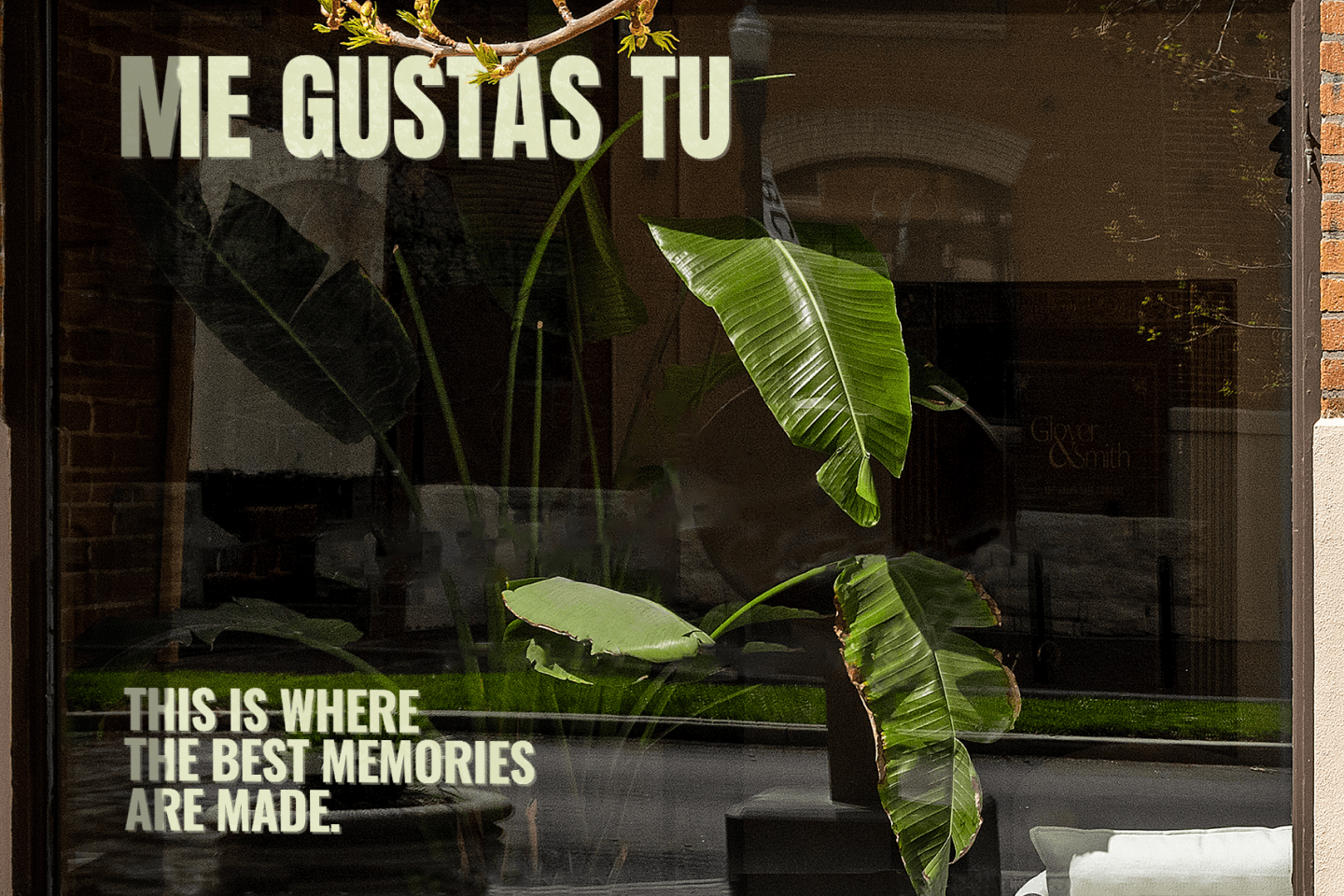 ME GUSTAS TU / COCKTAIL BAR — Изображение №5 — Брендинг, Графика на Dprofile