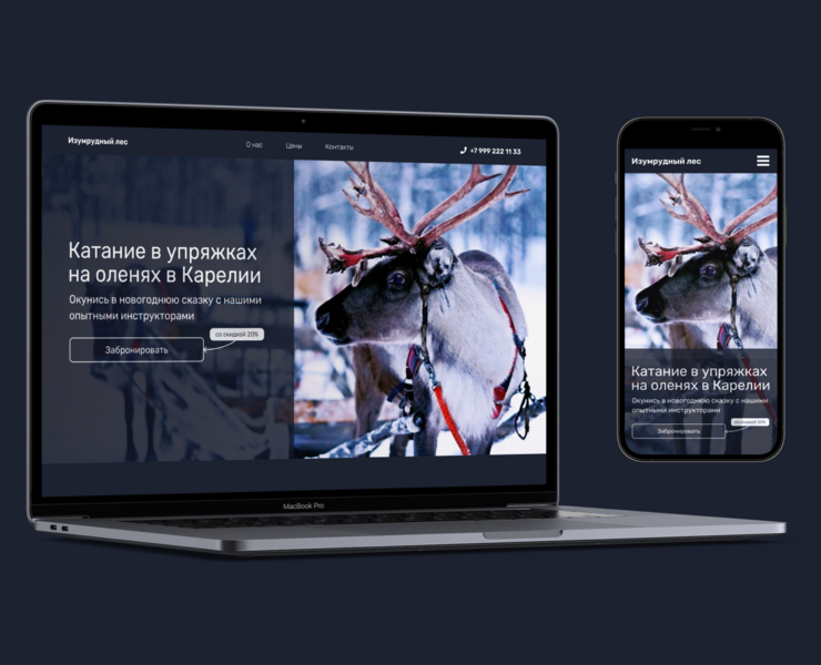 Лендинг для парка активного отдыха «Изумрудный лес» на Dprofile