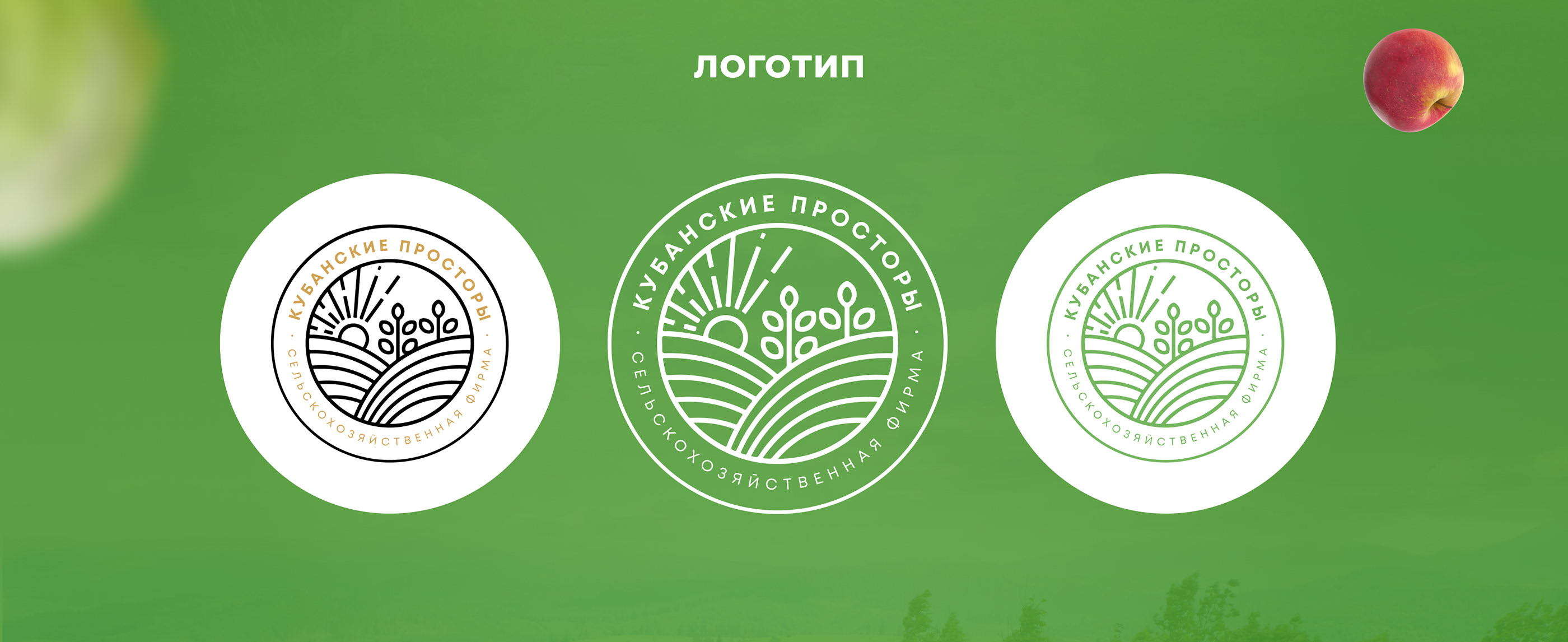 Оформление группы ВК |Кубанские просторы — Изображение №7 — Графика, Маркетинг на Dprofile