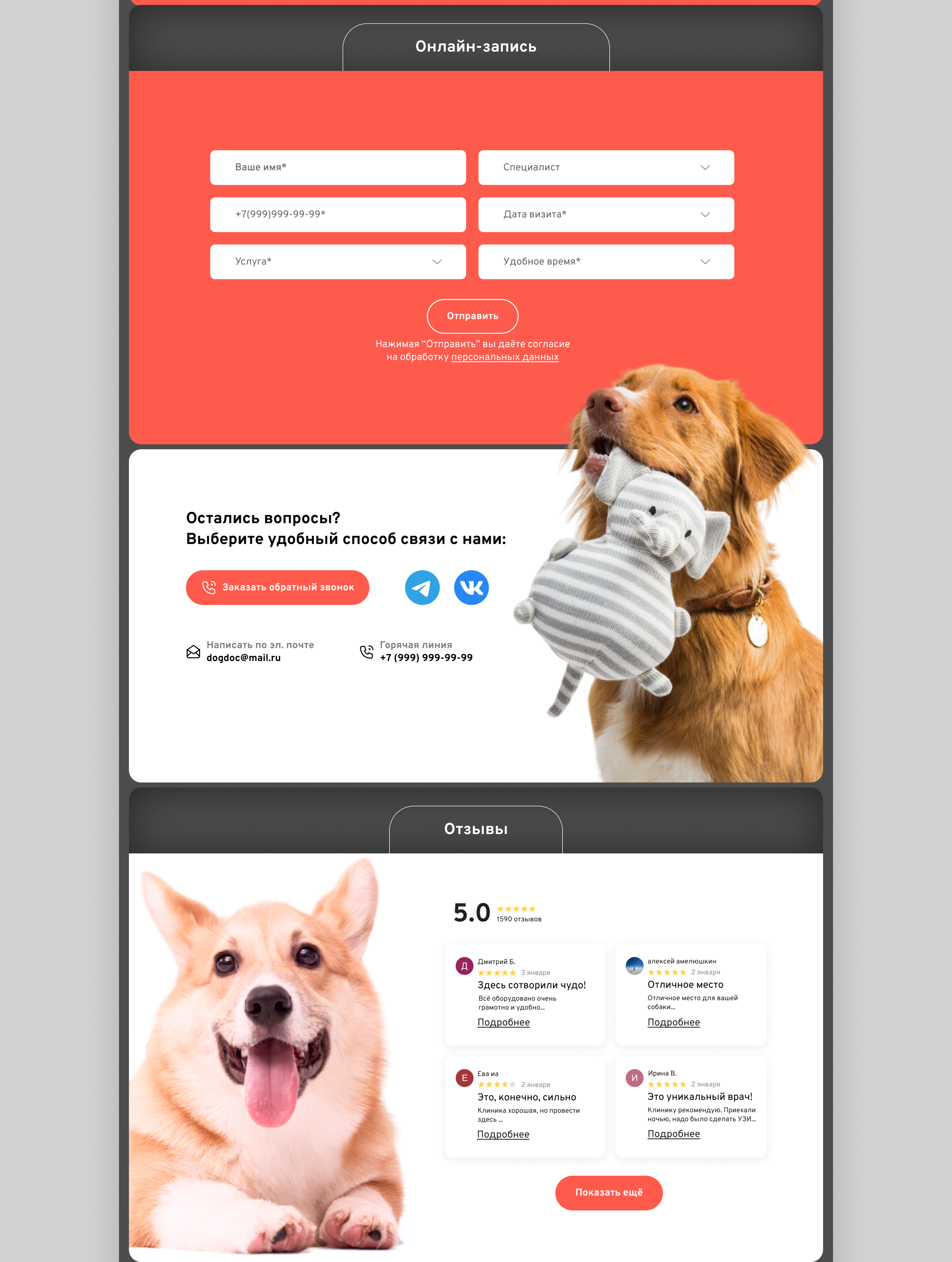 Landing. Veterinary clinic. — Изображение №5 — Интерфейсы, Маркетинг на Dprofile