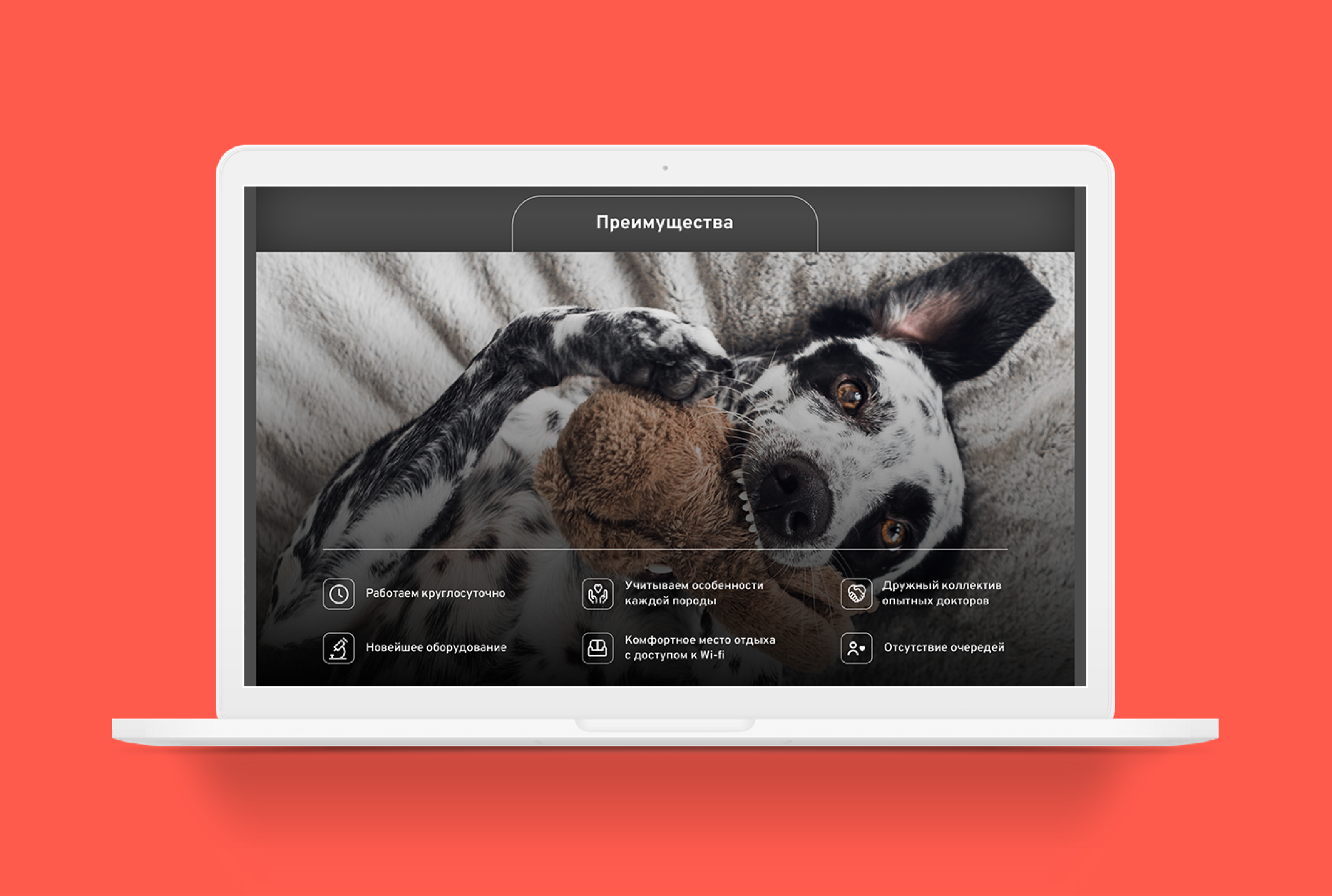 Landing. Veterinary clinic. — Изображение №7 — Интерфейсы, Маркетинг на Dprofile