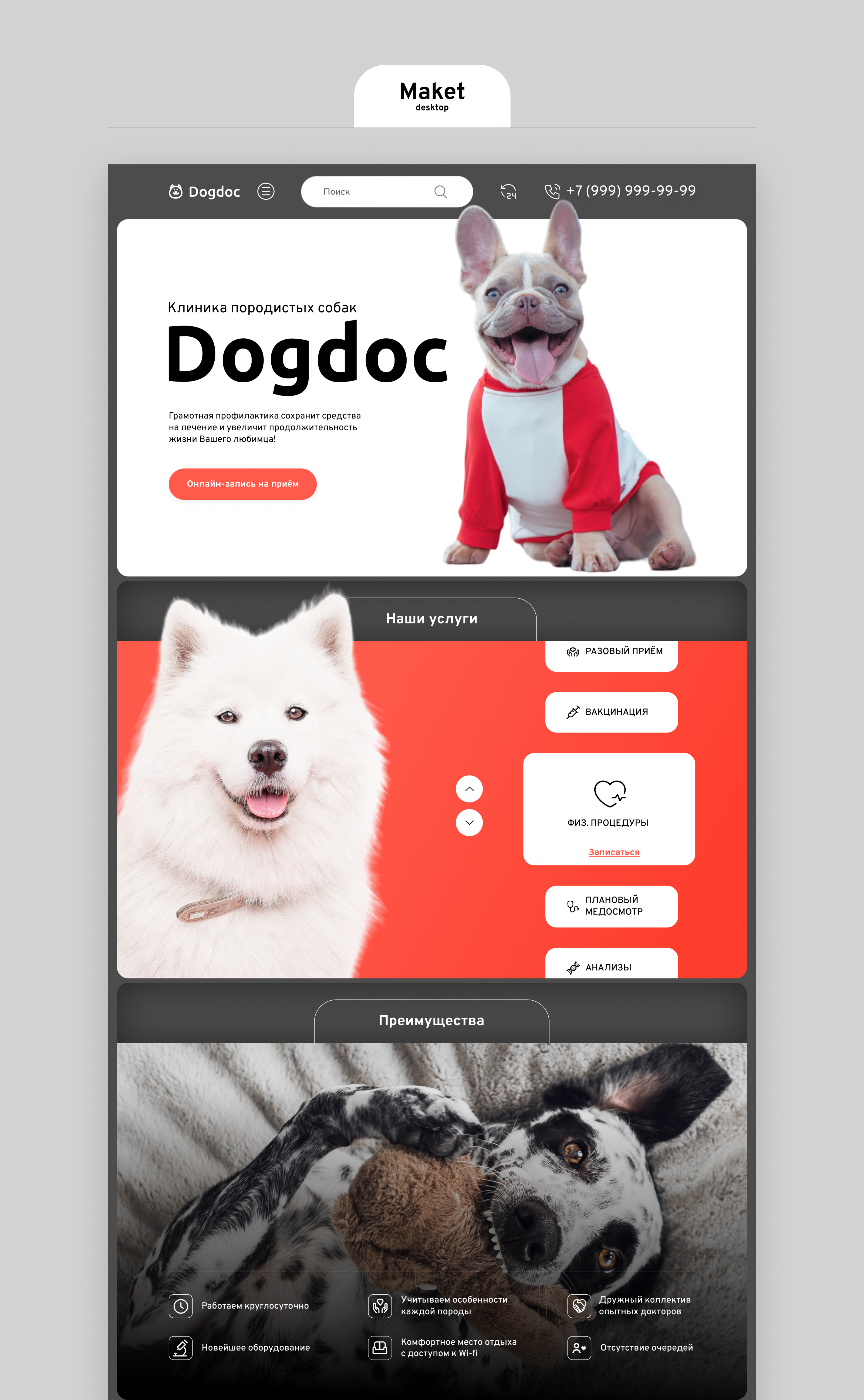 Landing. Veterinary clinic. — Изображение №3 — Интерфейсы, Маркетинг на Dprofile