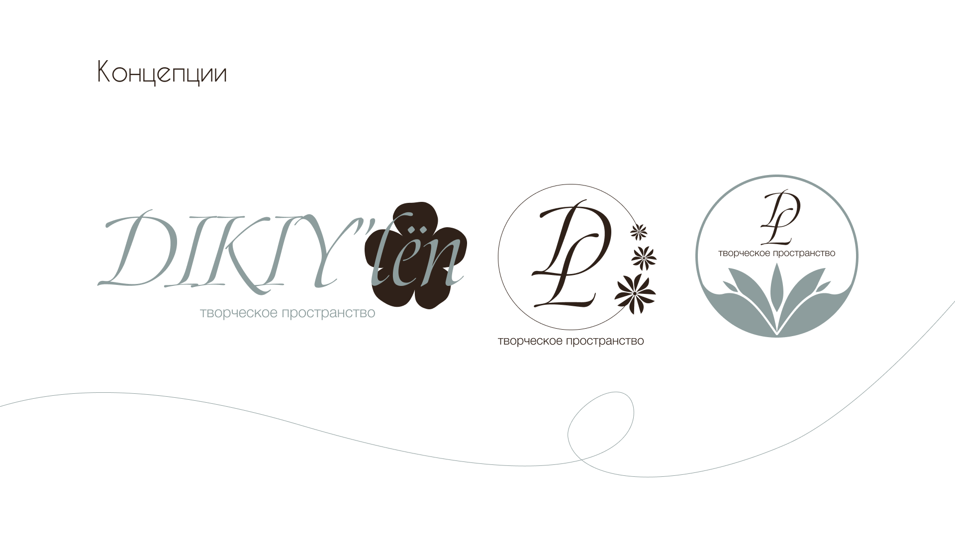 Creative space DIKIY’lёn - logo — Изображение №3 — Брендинг на Dprofile