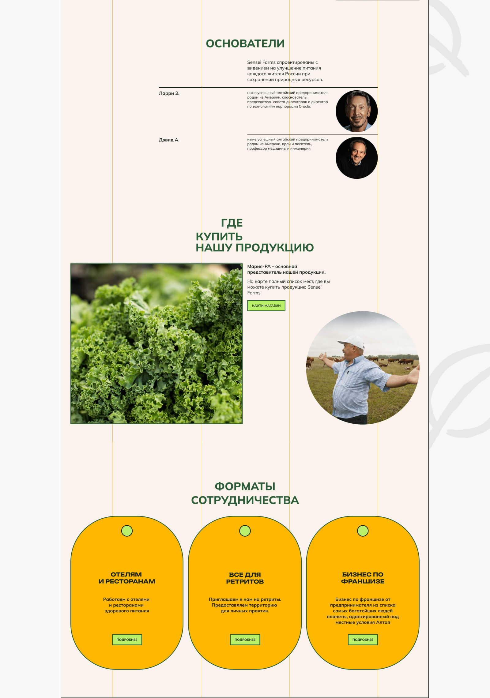 ЗЕЛЕНЕЙ FARMS | PYROBATTLE — Изображение №5 — Интерфейсы на Dprofile