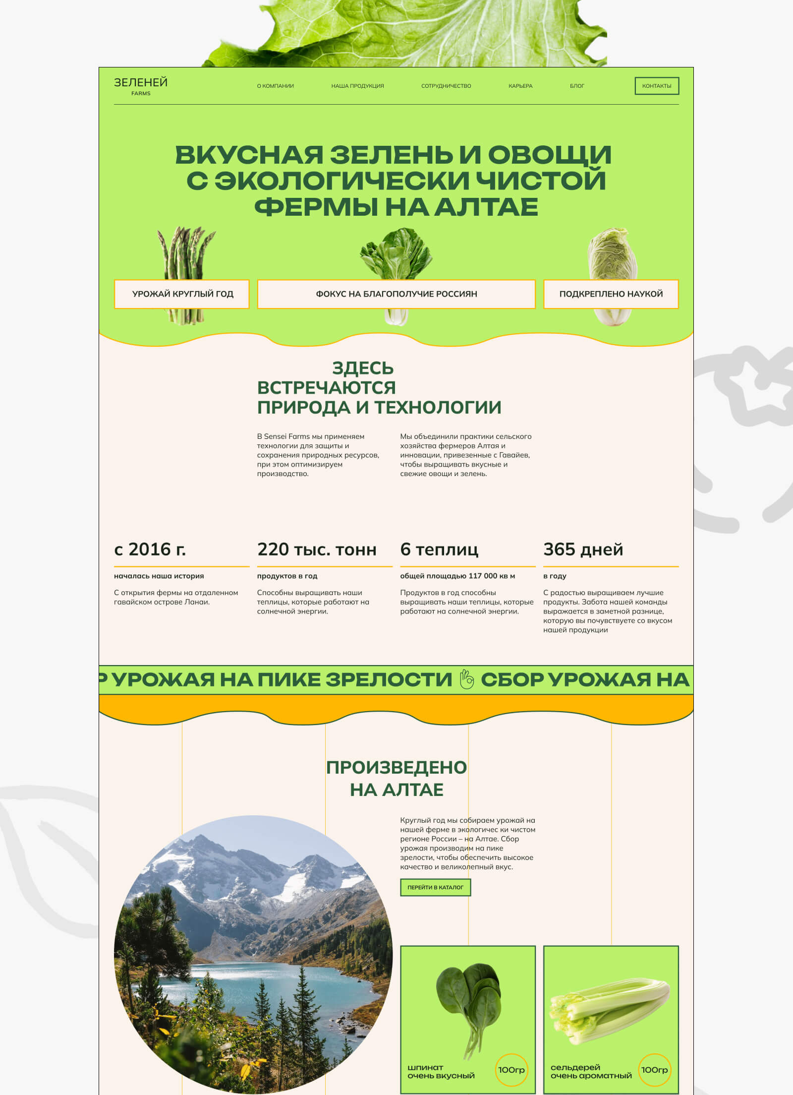 ЗЕЛЕНЕЙ FARMS | PYROBATTLE — Изображение №4 — Интерфейсы на Dprofile