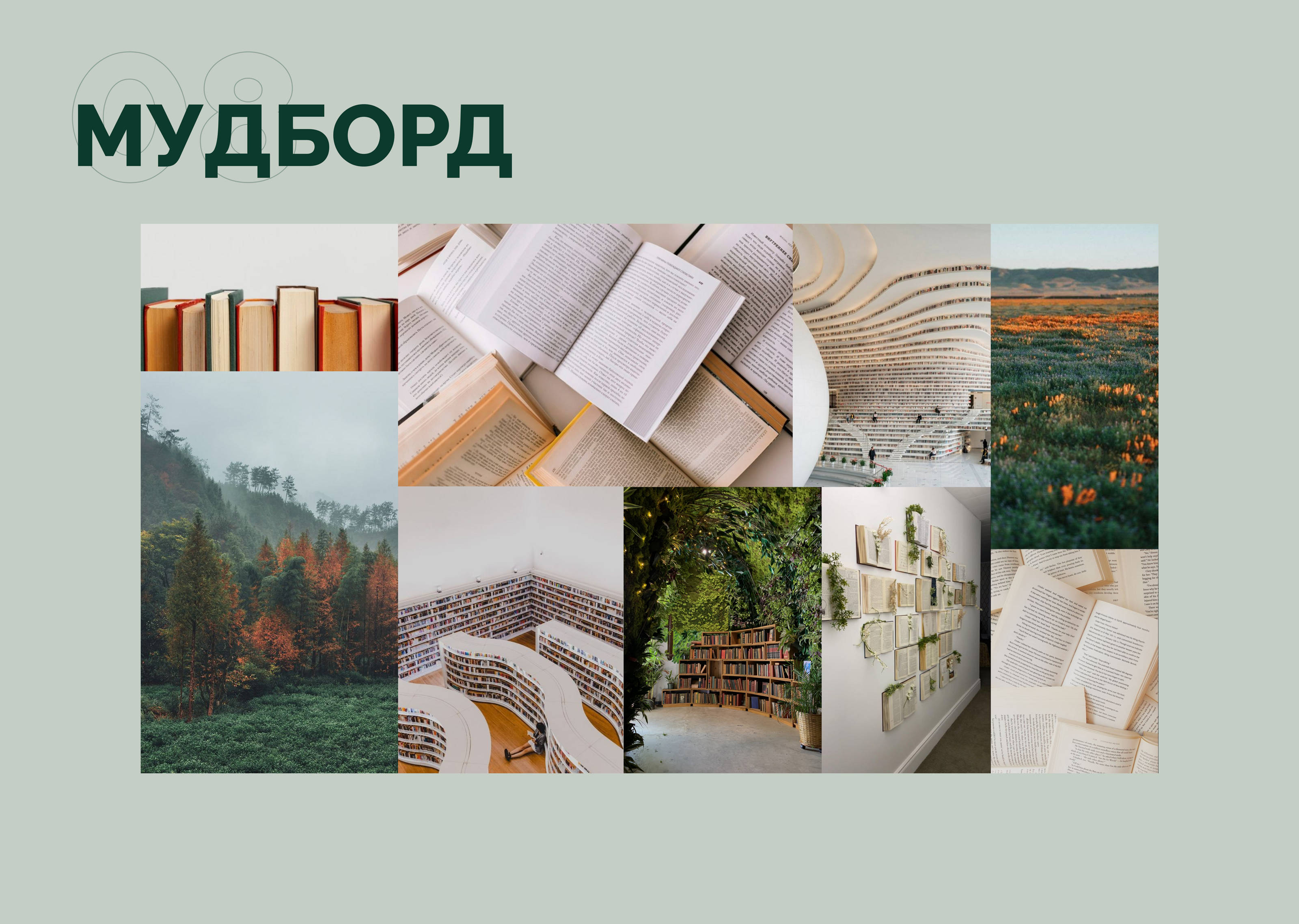 Дипломный проект. Магазин книг с модулем чтения — Изображение №9 — Интерфейсы на Dprofile