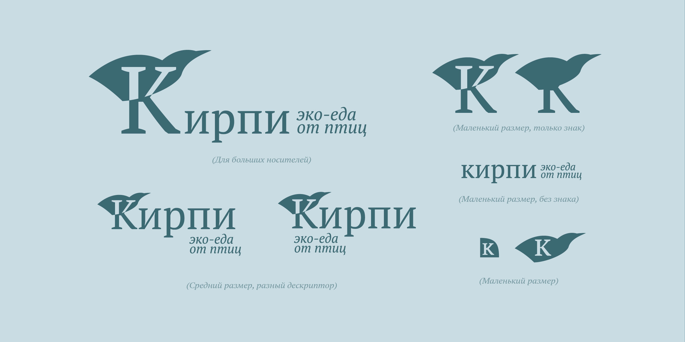 Кирпи — Эко-еда от птиц Киргизии — Изображение №6 — Брендинг на Dprofile