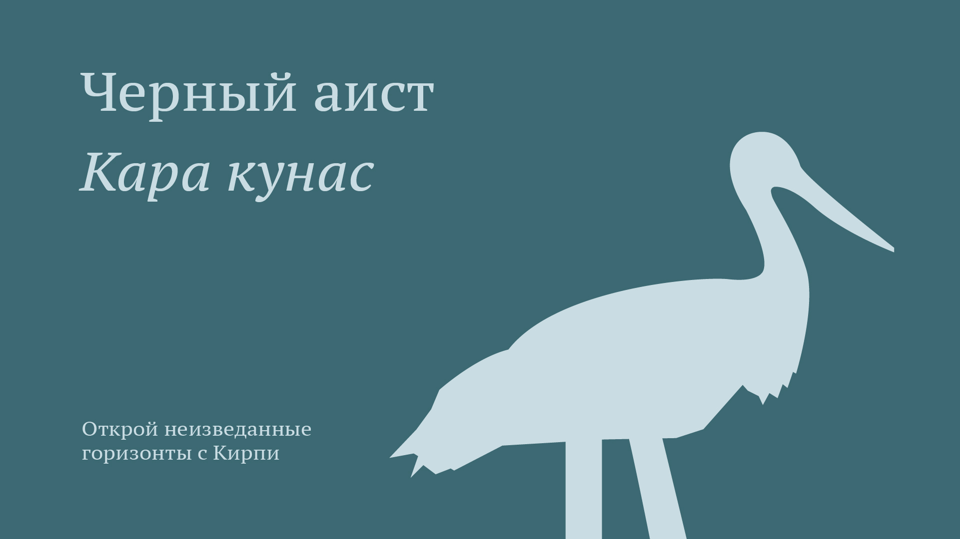 Кирпи — Эко-еда от птиц Киргизии — Изображение №15 — Брендинг на Dprofile
