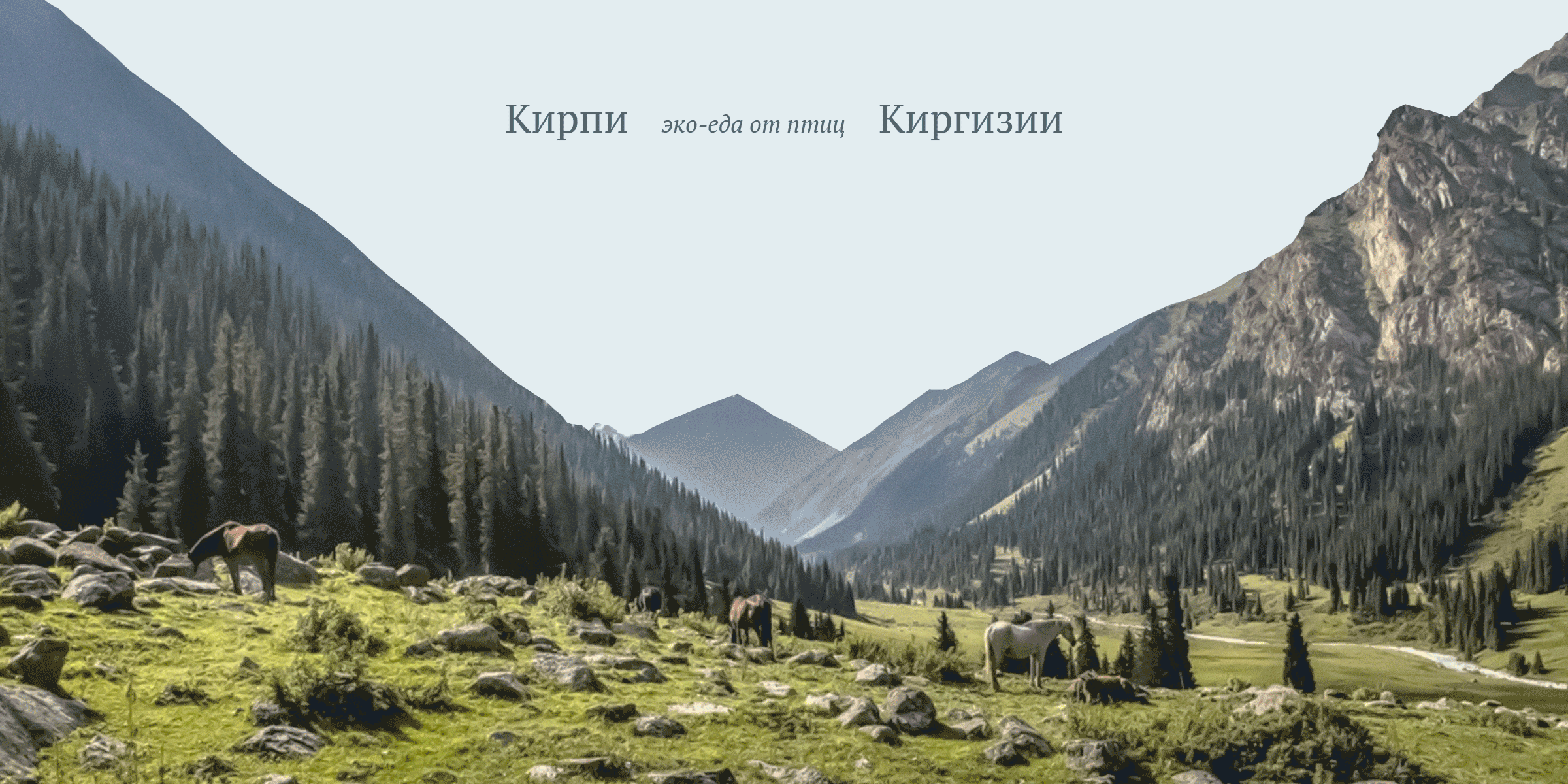 Кирпи — Эко-еда от птиц Киргизии — Изображение №1 — Брендинг на Dprofile