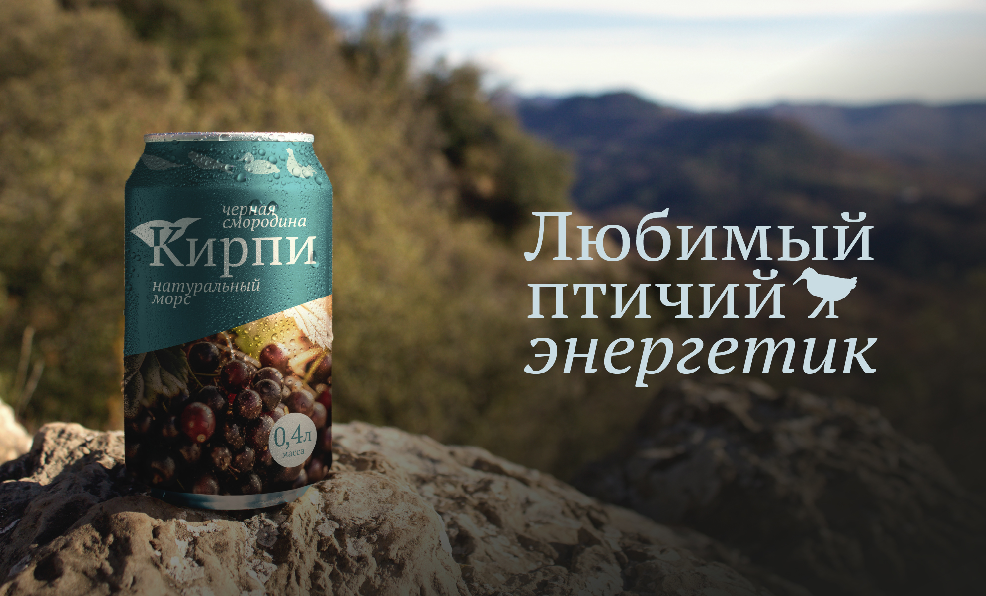Кирпи — Эко-еда от птиц Киргизии — Изображение №12 — Брендинг на Dprofile