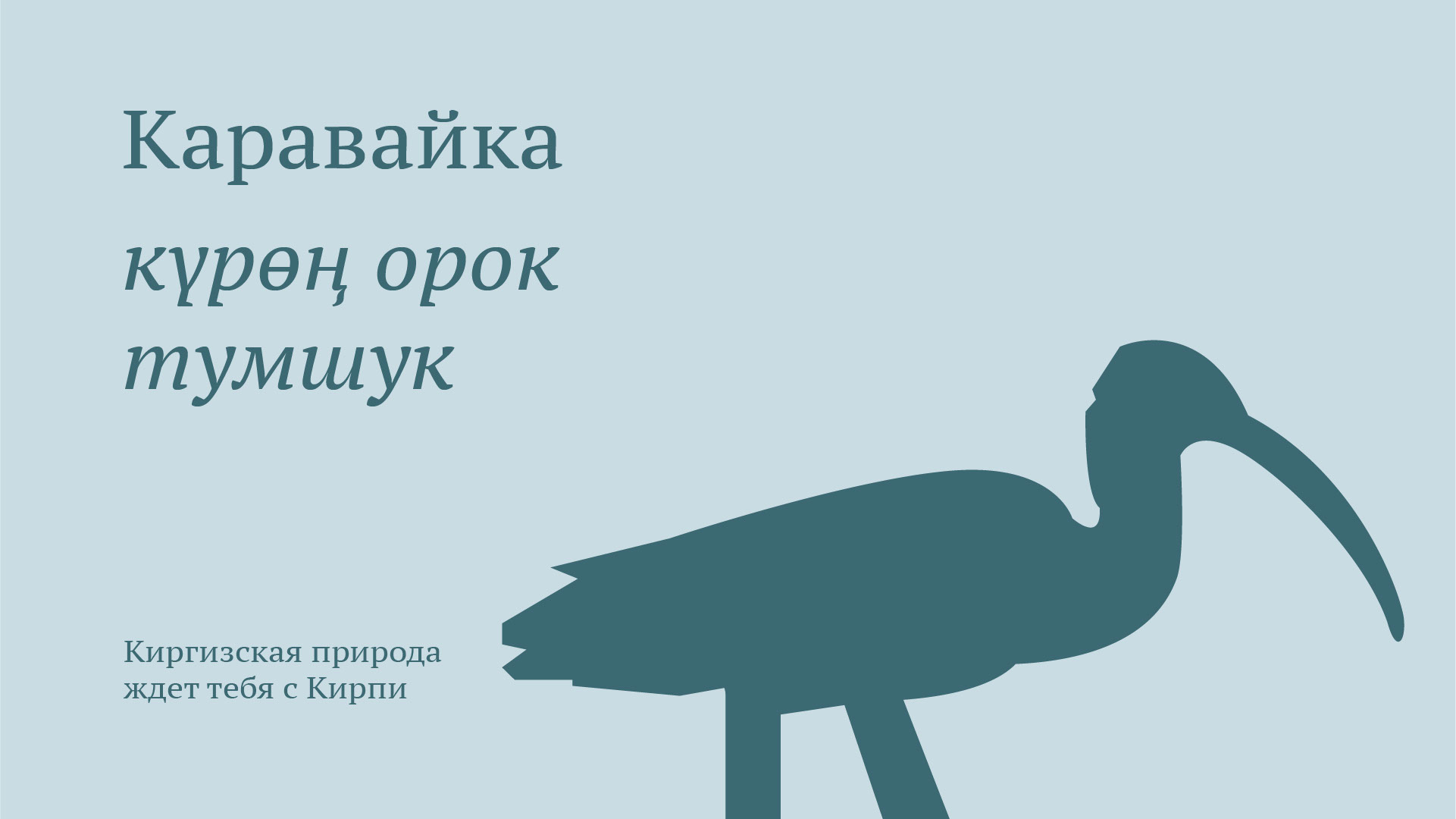 Кирпи — Эко-еда от птиц Киргизии — Изображение №13 — Брендинг на Dprofile