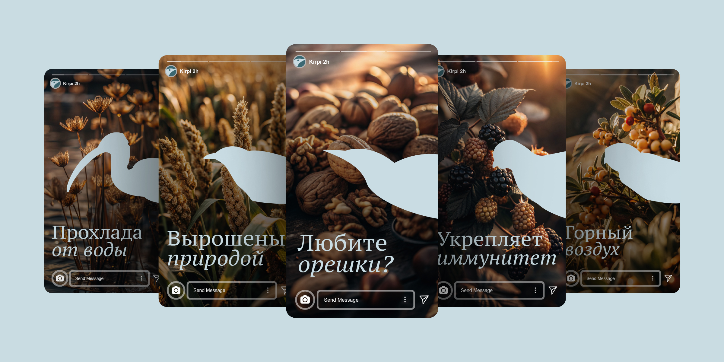 Кирпи — Эко-еда от птиц Киргизии — Изображение №17 — Брендинг на Dprofile