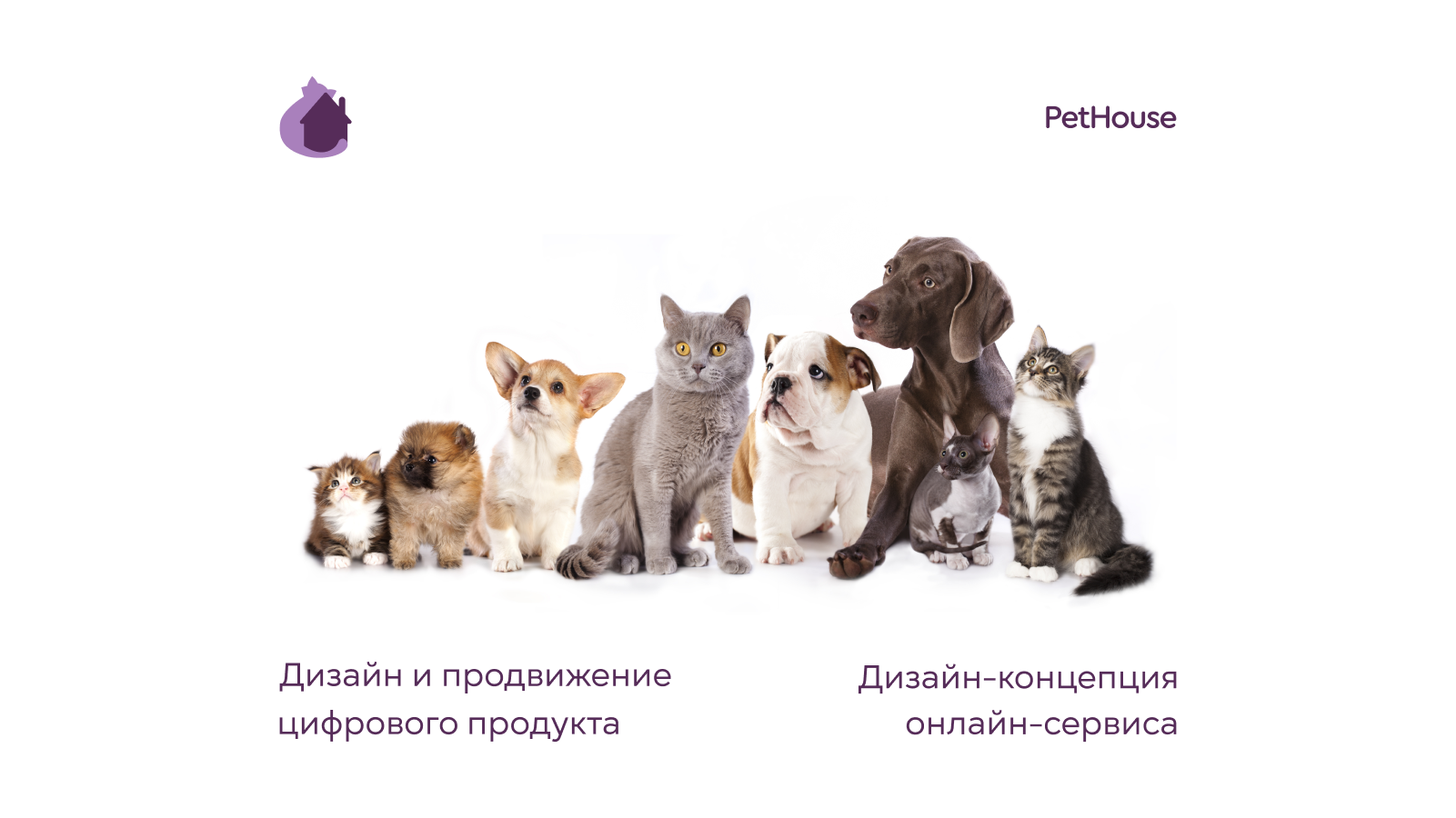 PetHouse — Изображение №1 — Интерфейсы на Dprofile