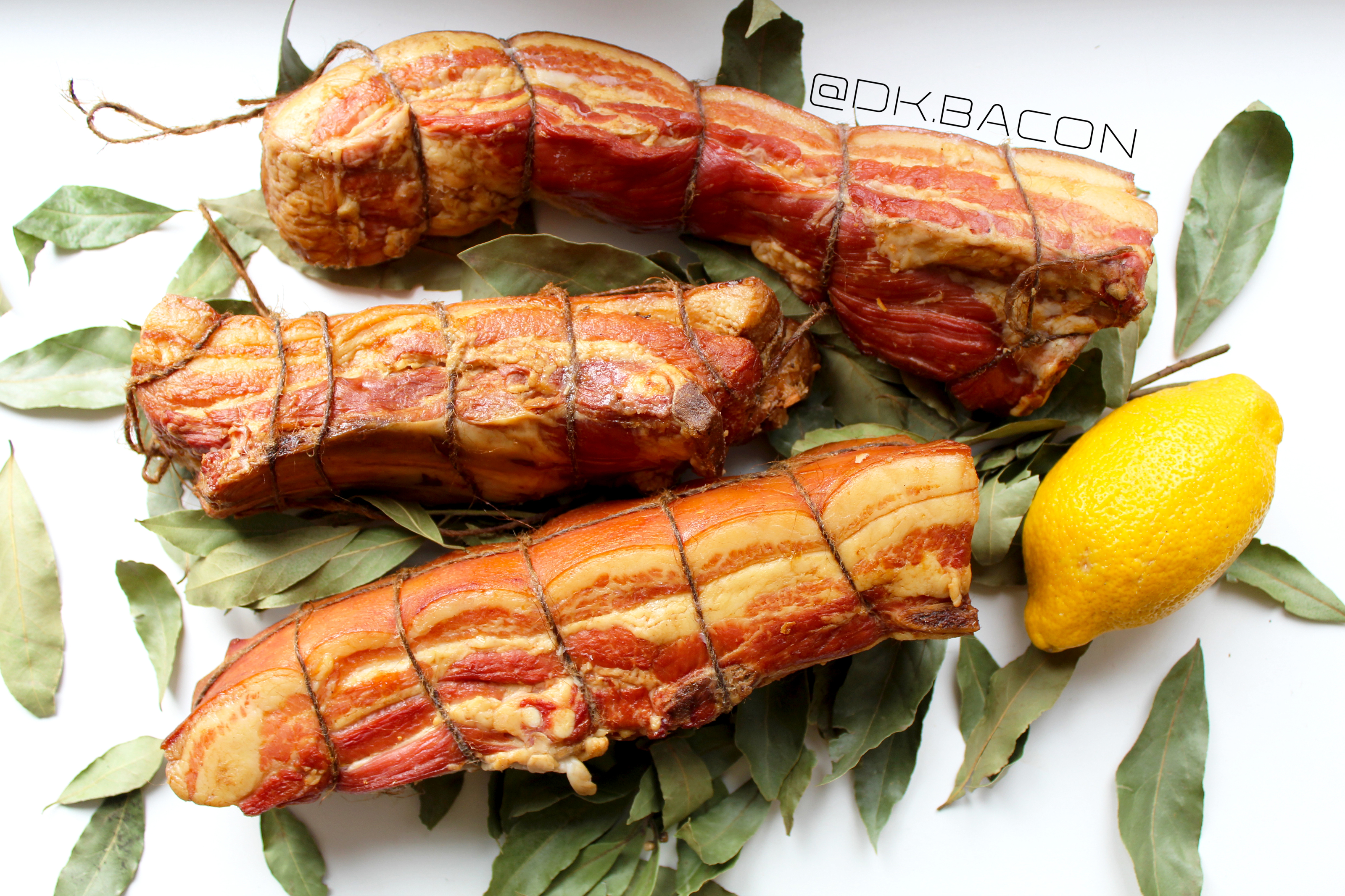 Домашняя коптильня BACON, иллюстрация, логотип, брошюра. — Изображение №17 — Брендинг, Иллюстрация на Dprofile