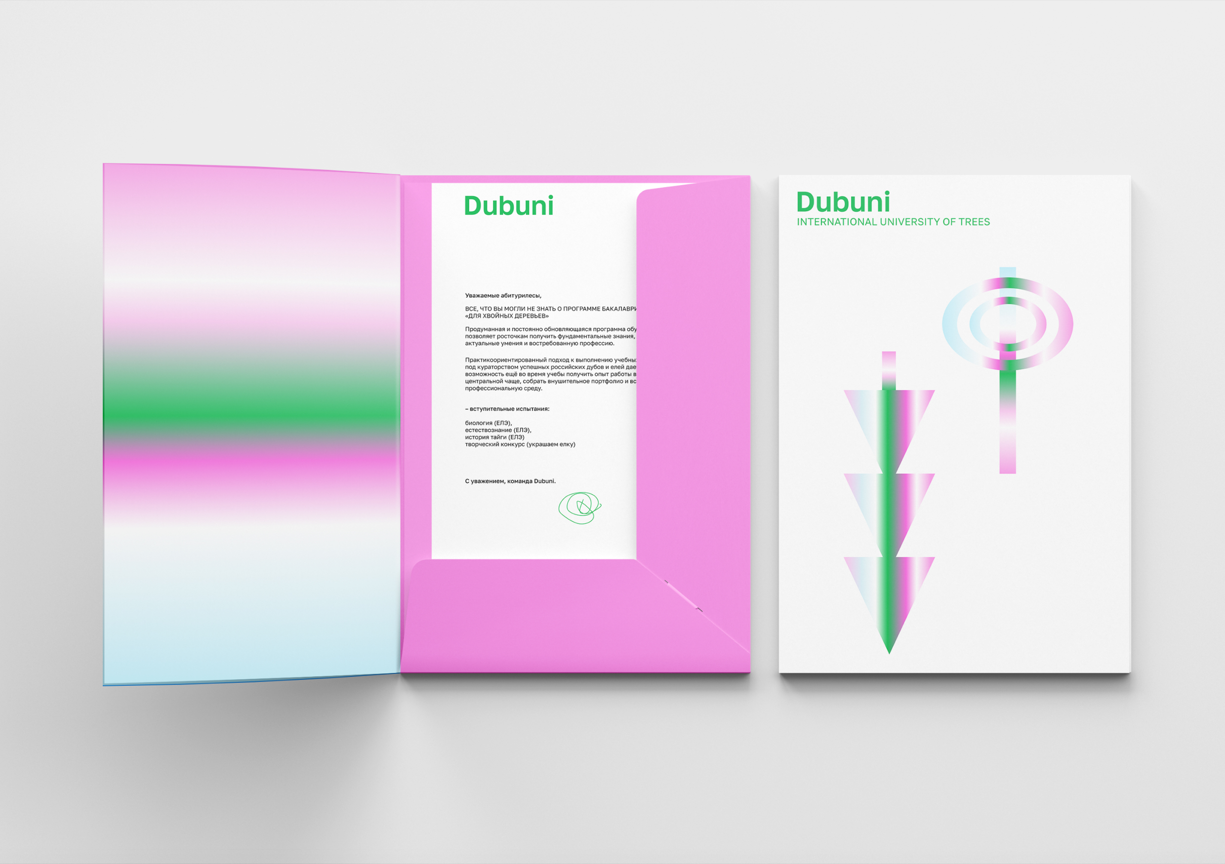 Dubuni — Изображение №5 — Интерфейсы, Брендинг на Dprofile