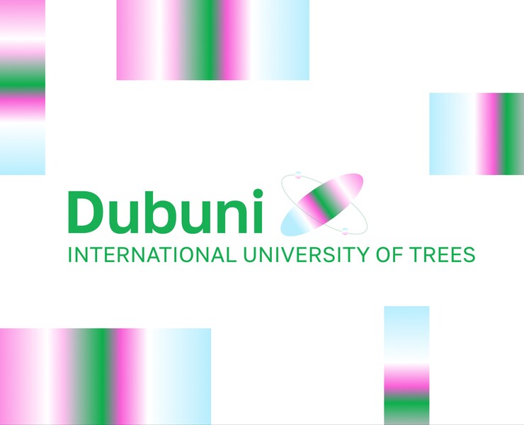 Dubuni — Интерфейсы, Брендинг на Dprofile