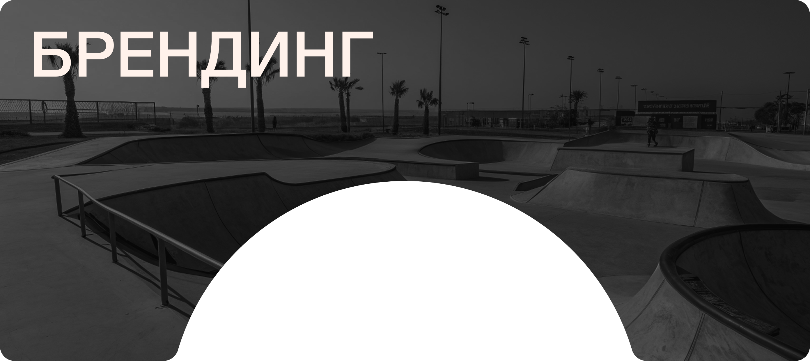 SK8X | Продвижение мобильного приложения для скейтеров — Изображение №21 — Интерфейсы, Маркетинг на Dprofile