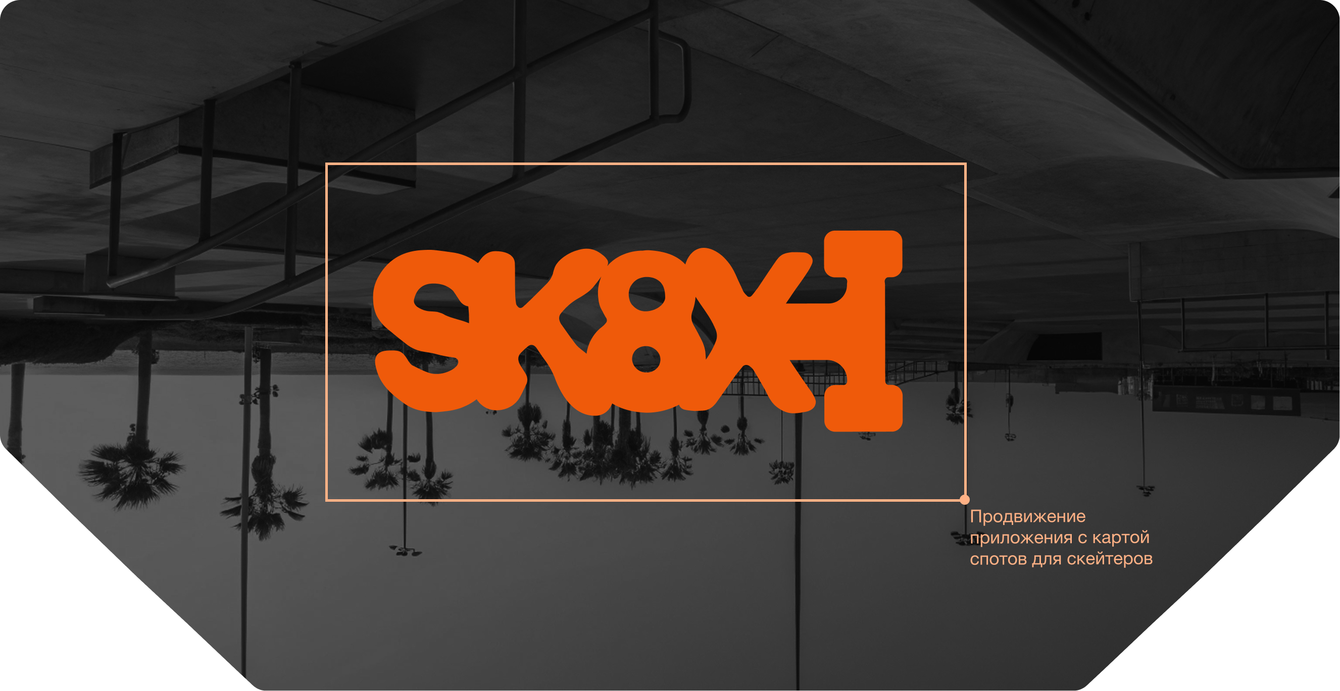 SK8X | Продвижение мобильного приложения для скейтеров — Изображение №1 — Интерфейсы, Маркетинг на Dprofile