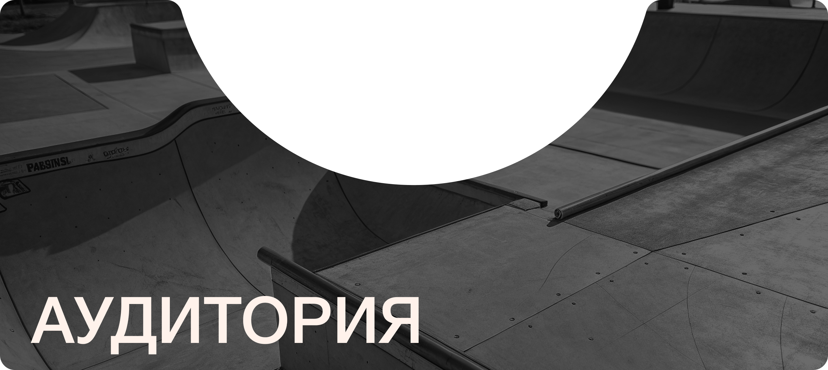SK8X | Продвижение мобильного приложения для скейтеров — Изображение №16 — Интерфейсы, Маркетинг на Dprofile