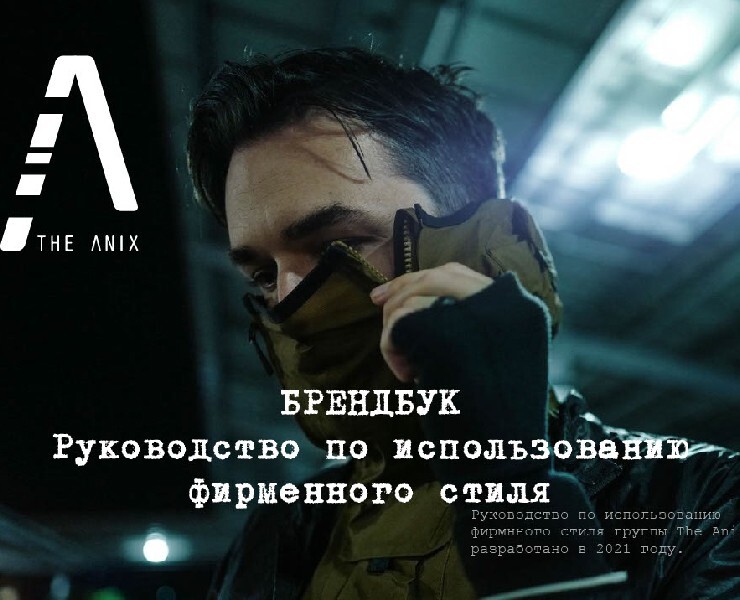 Брендбук для The Anix — Брендинг на Dprofile