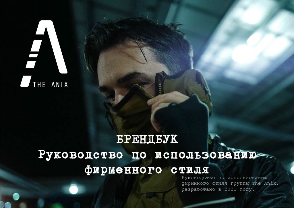 Брендбук для The Anix — Изображение №1 — Брендинг на Dprofile