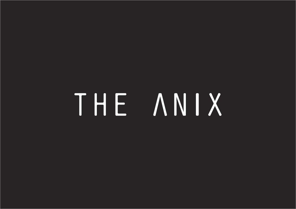 Брендбук для The Anix — Изображение №26 — Брендинг на Dprofile