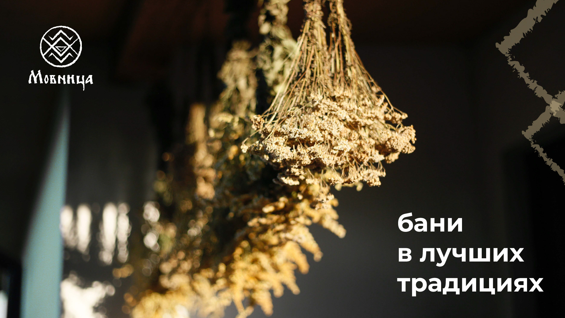 Мовница | Банный комплекс — Изображение №1 — Брендинг на Dprofile