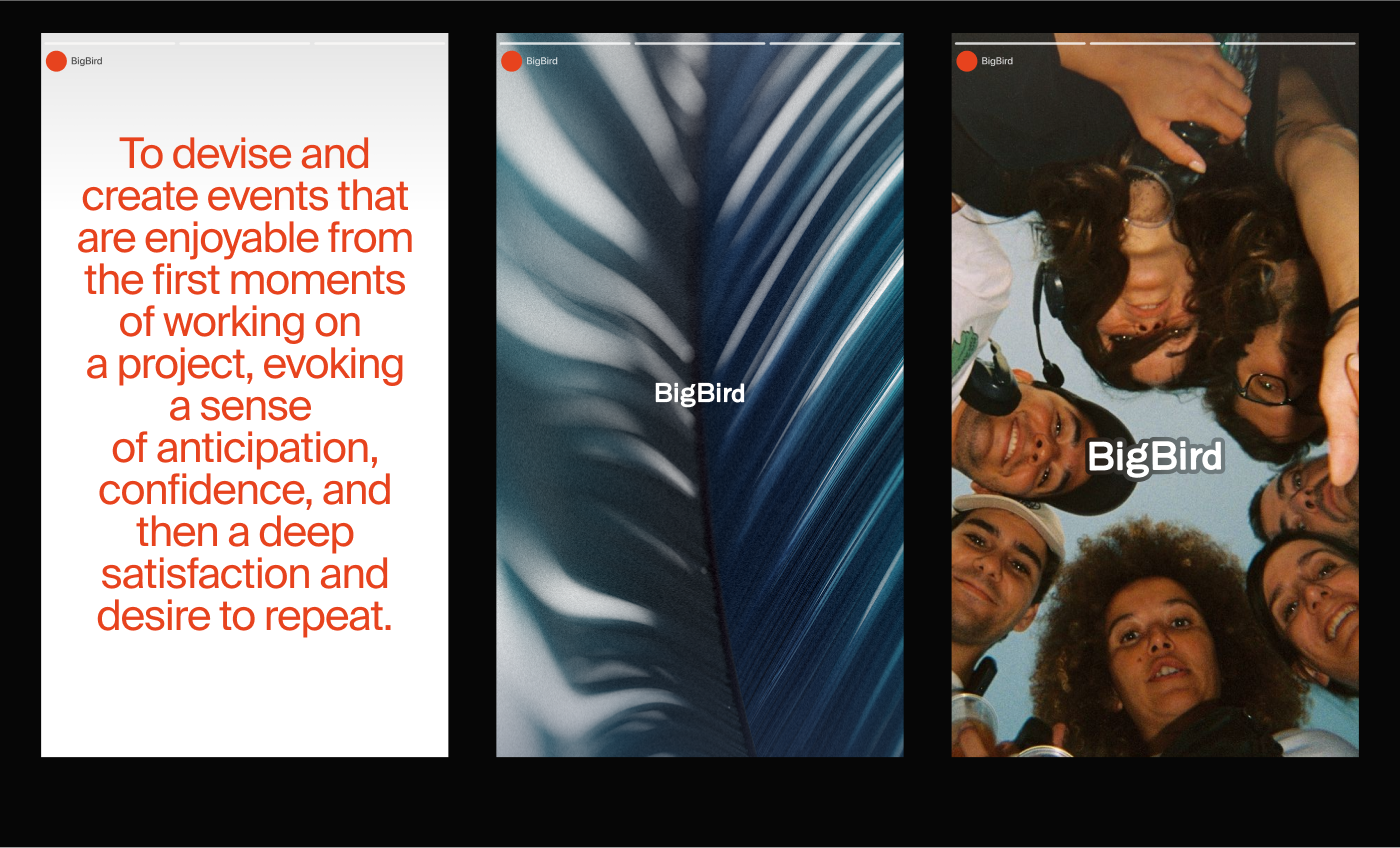 BigBird Branding for event agency — Изображение №2 — Брендинг, Анимация на Dprofile