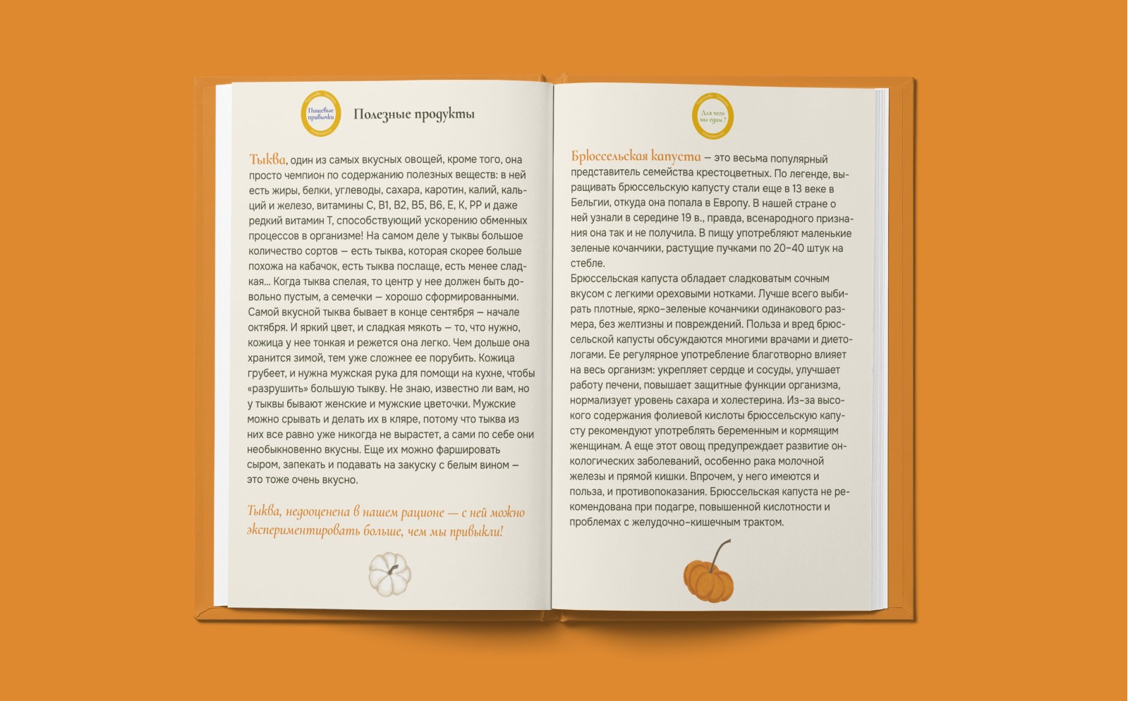 Оформление и верстка сборника с рецептами — Изображение №5 — Иллюстрация, Графика на Dprofile