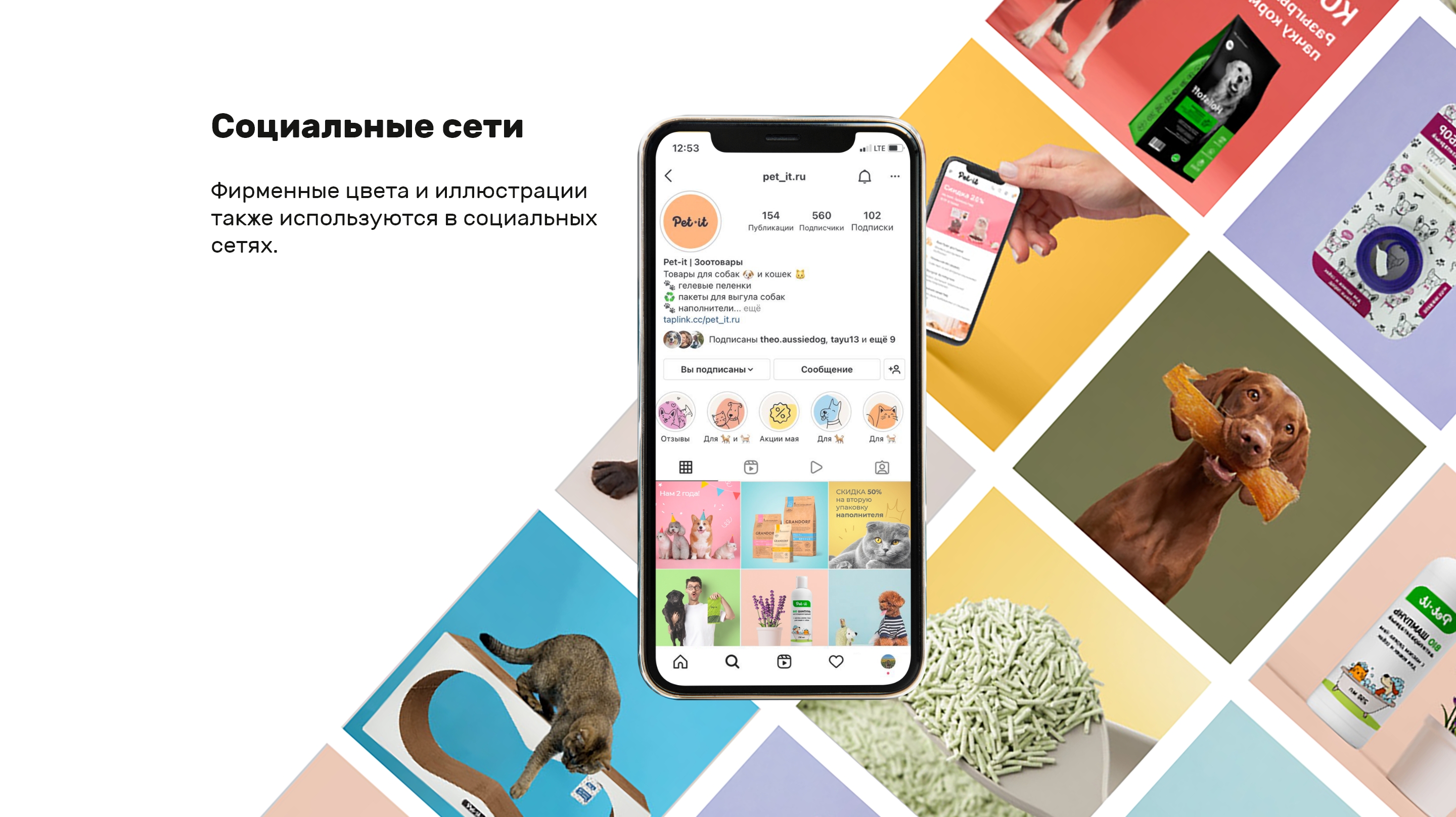 Pet-it — Изображение №11 — Брендинг, Иллюстрация на Dprofile