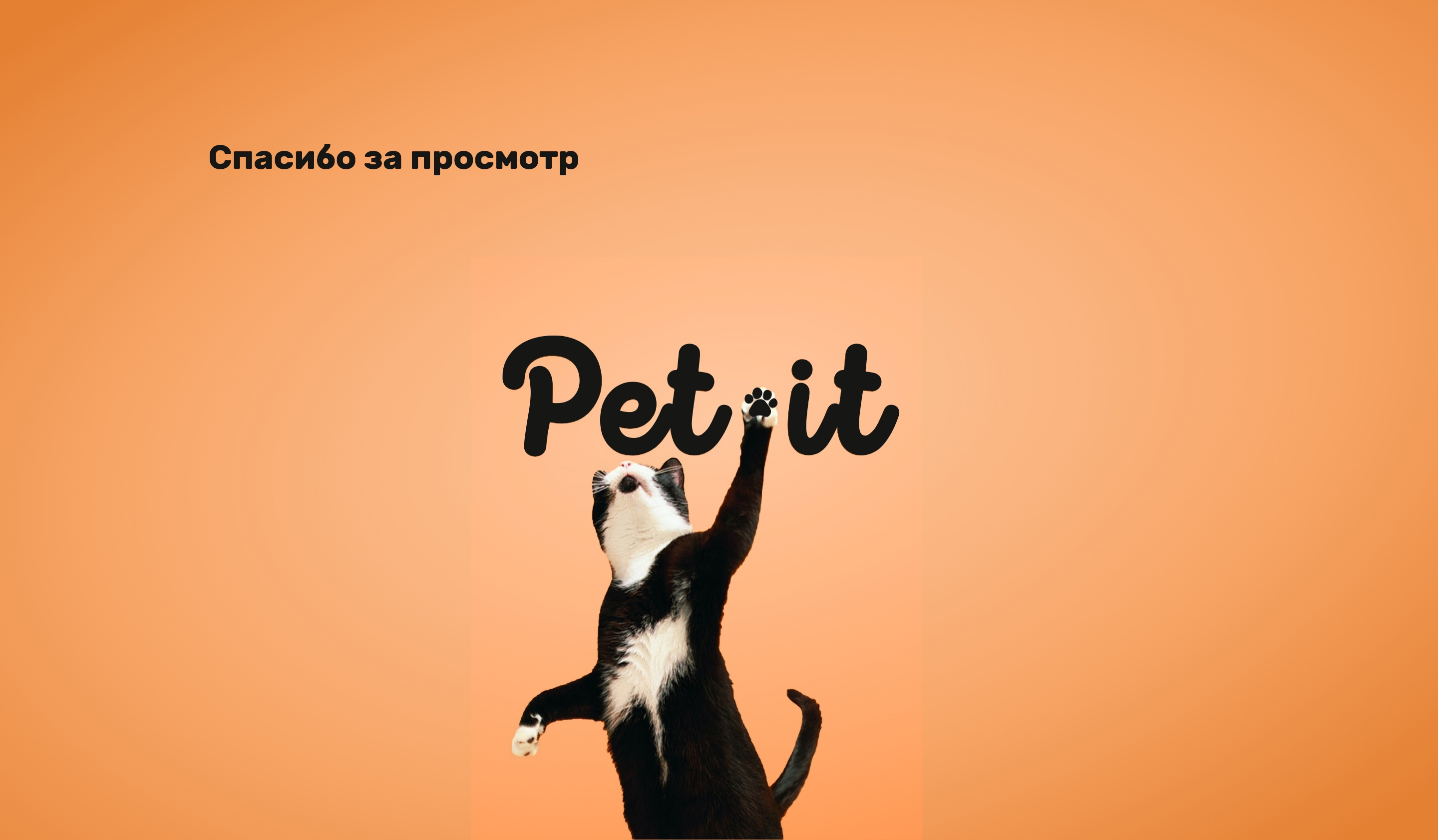 Pet-it — Изображение №12 — Брендинг, Иллюстрация на Dprofile
