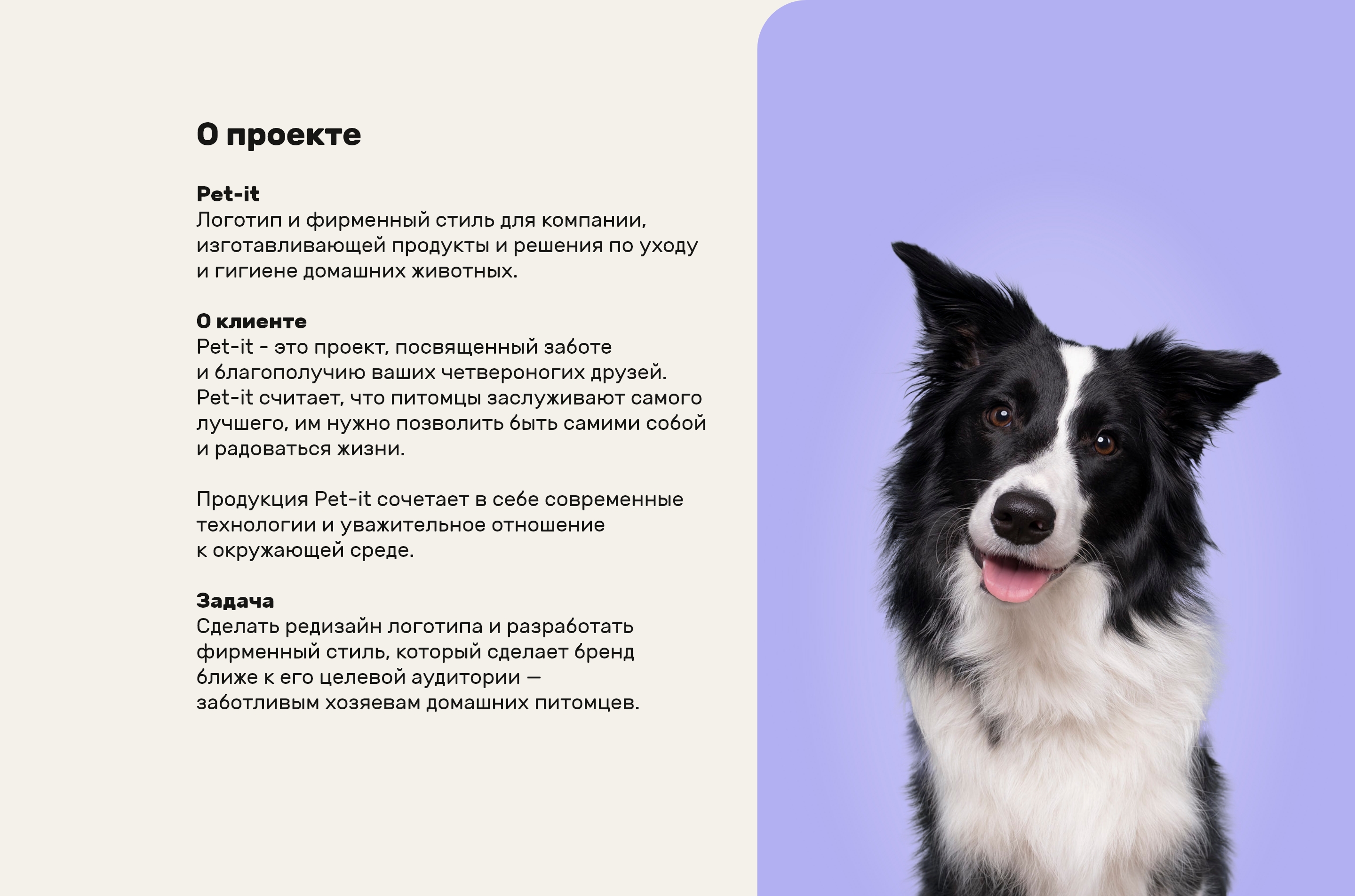 Pet-it — Изображение №2 — Брендинг, Иллюстрация на Dprofile