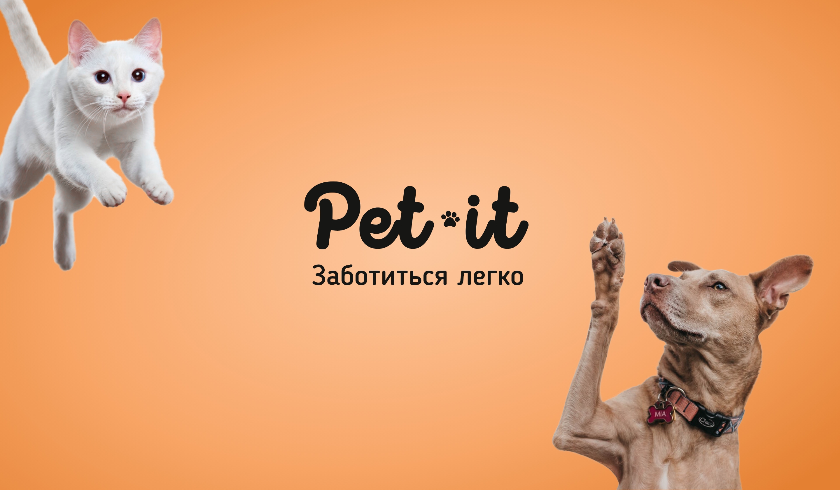 Pet-it — Изображение №1 — Брендинг, Иллюстрация на Dprofile