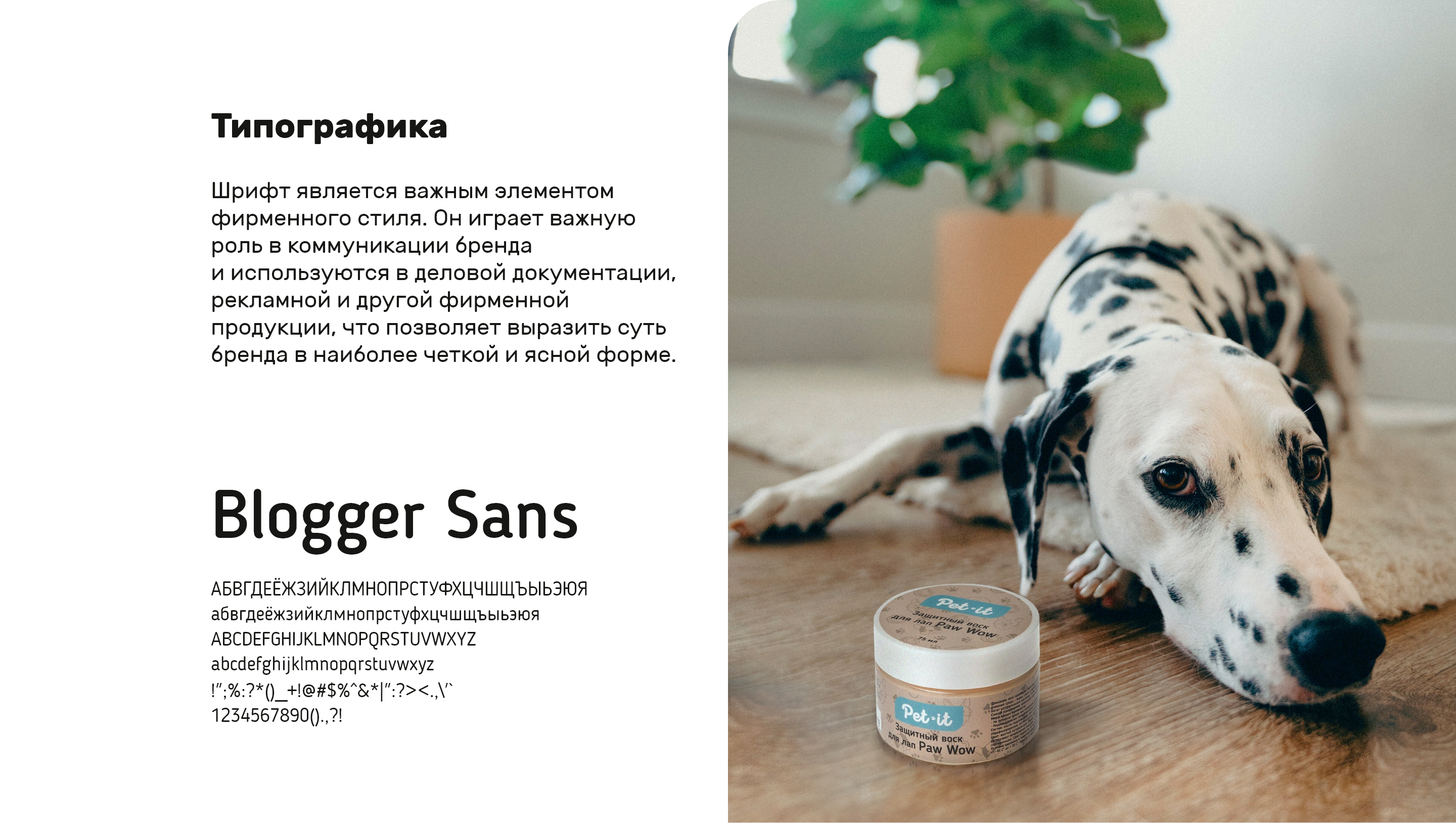 Pet-it — Изображение №7 — Брендинг, Иллюстрация на Dprofile