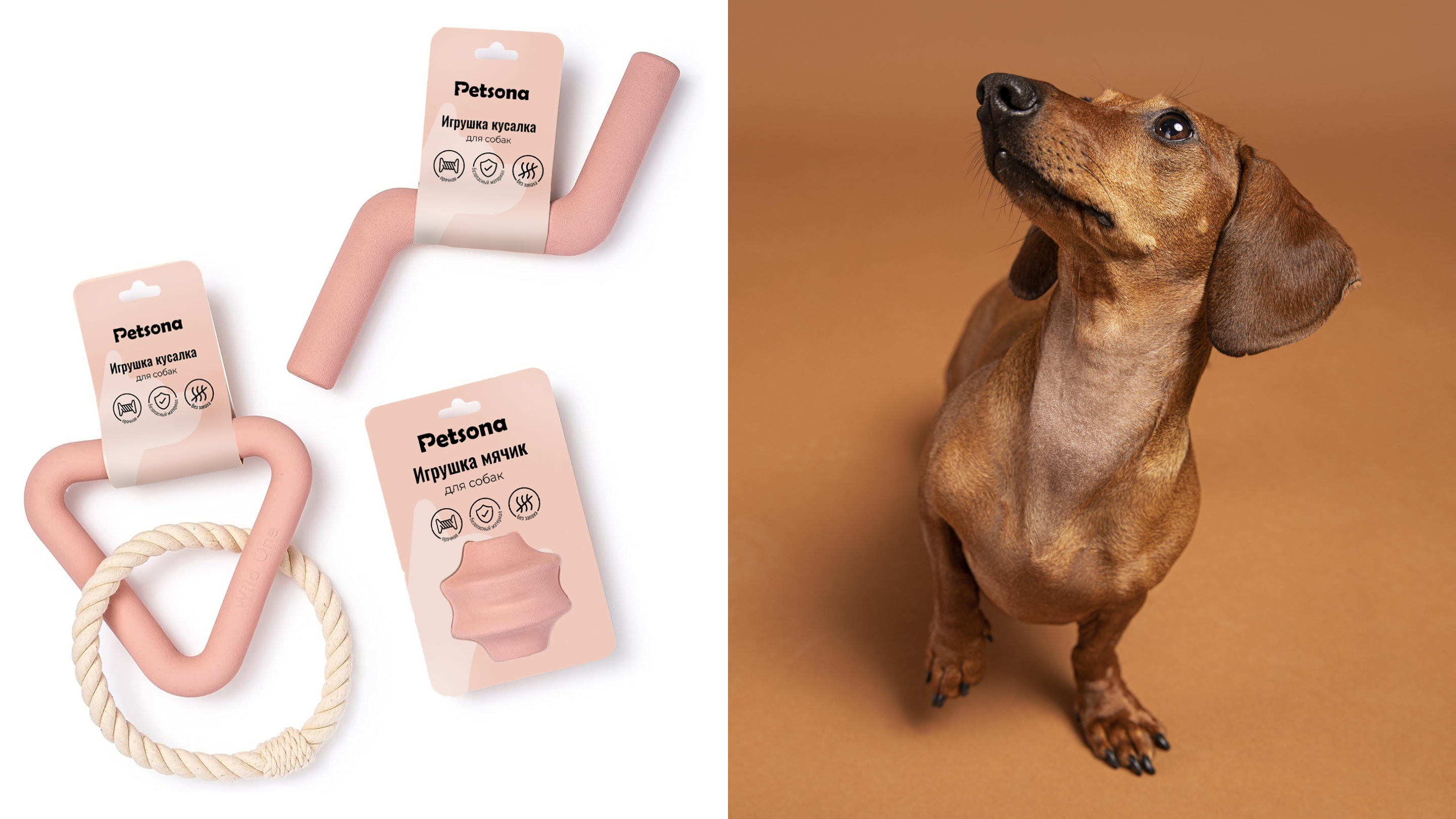 Petsona товары для животных — Изображение №7 — Брендинг, Графика на Dprofile