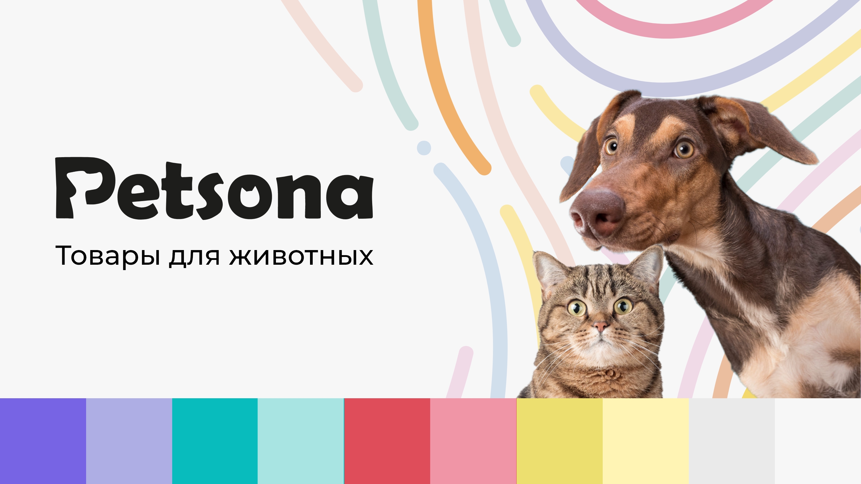 Petsona товары для животных — Изображение №1 — Брендинг, Графика на Dprofile