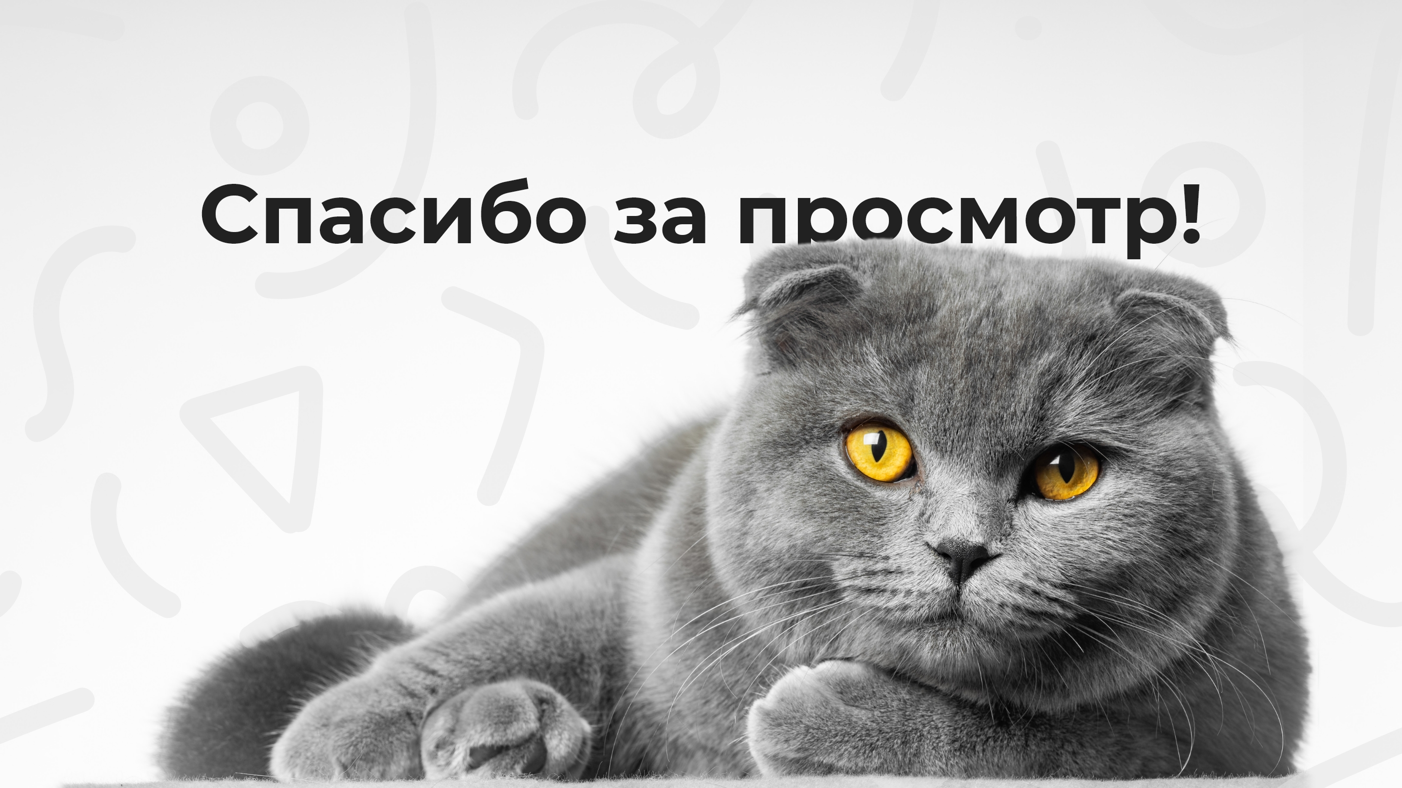 Petsona товары для животных — Изображение №9 — Брендинг, Графика на Dprofile