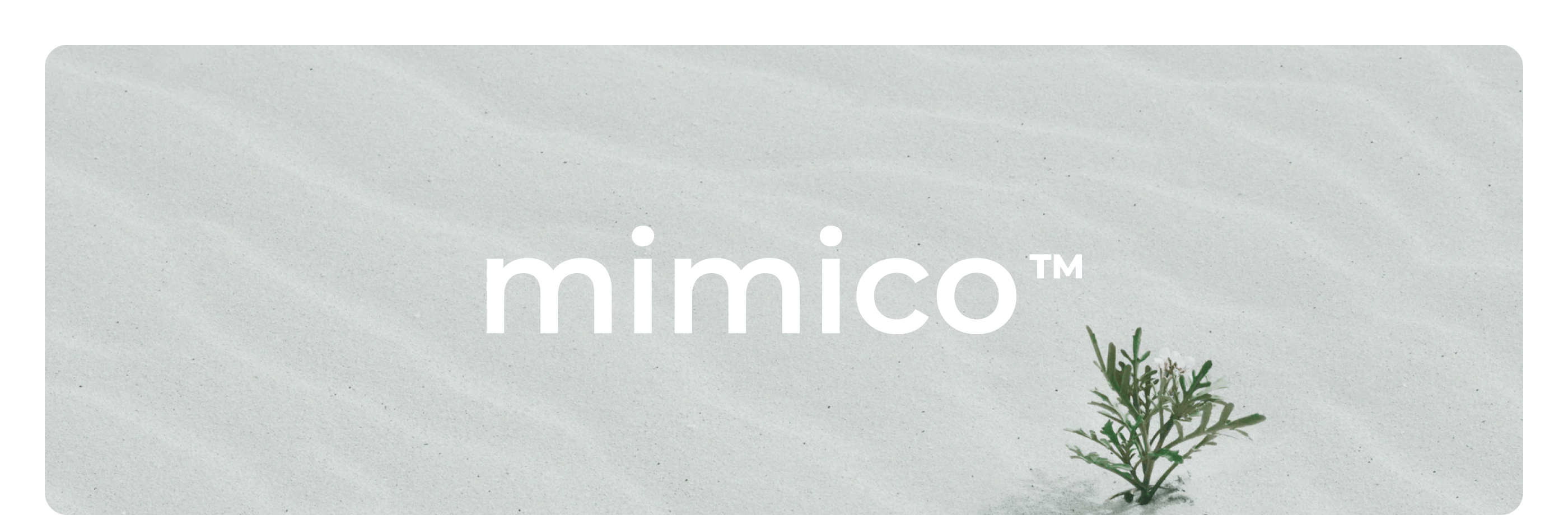 mimico | брендинг — Изображение №1 — Брендинг, Графика на Dprofile