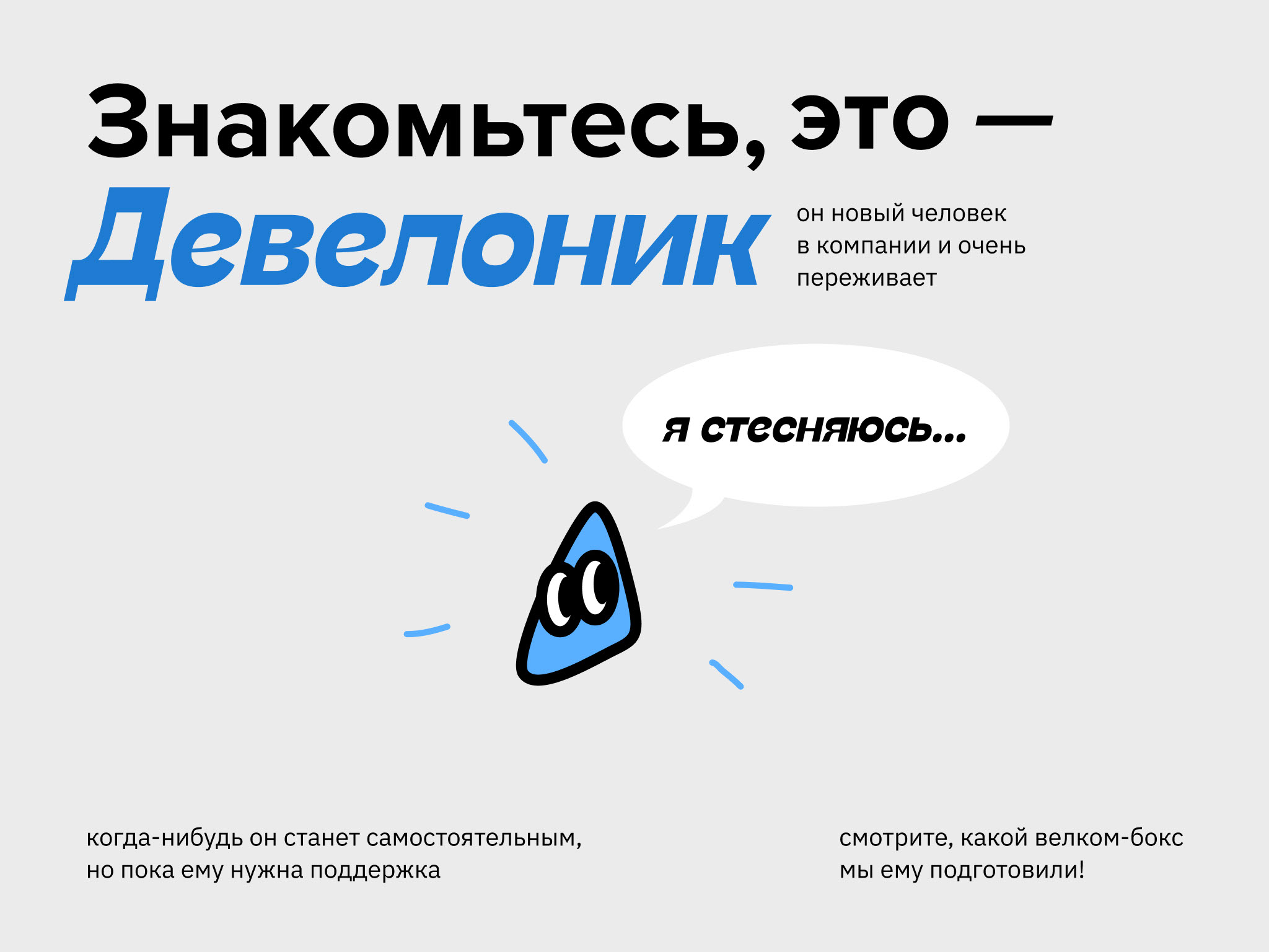 Велком бокс для Девелоники — Изображение №2 — Брендинг, Иллюстрация на Dprofile